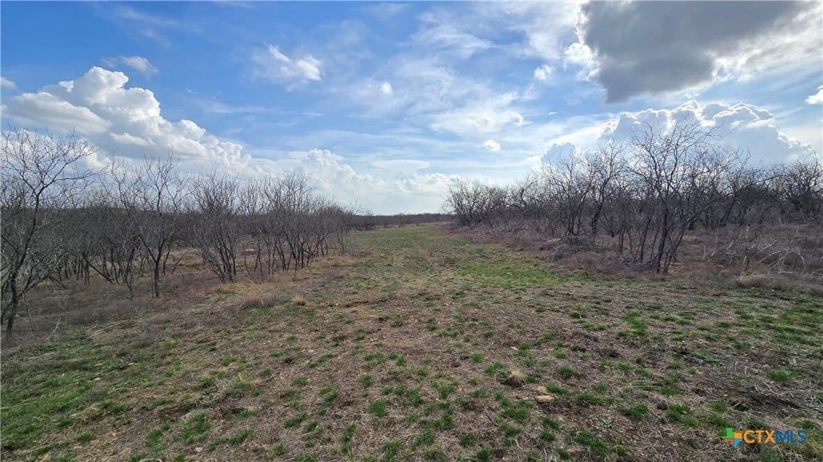 44.36 acres in McLennan County - photo 11