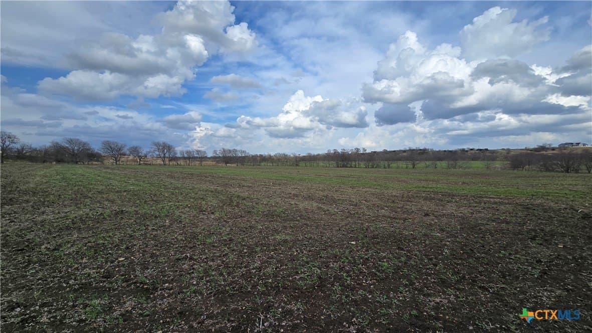 44.36 acres in McLennan County - photo 8