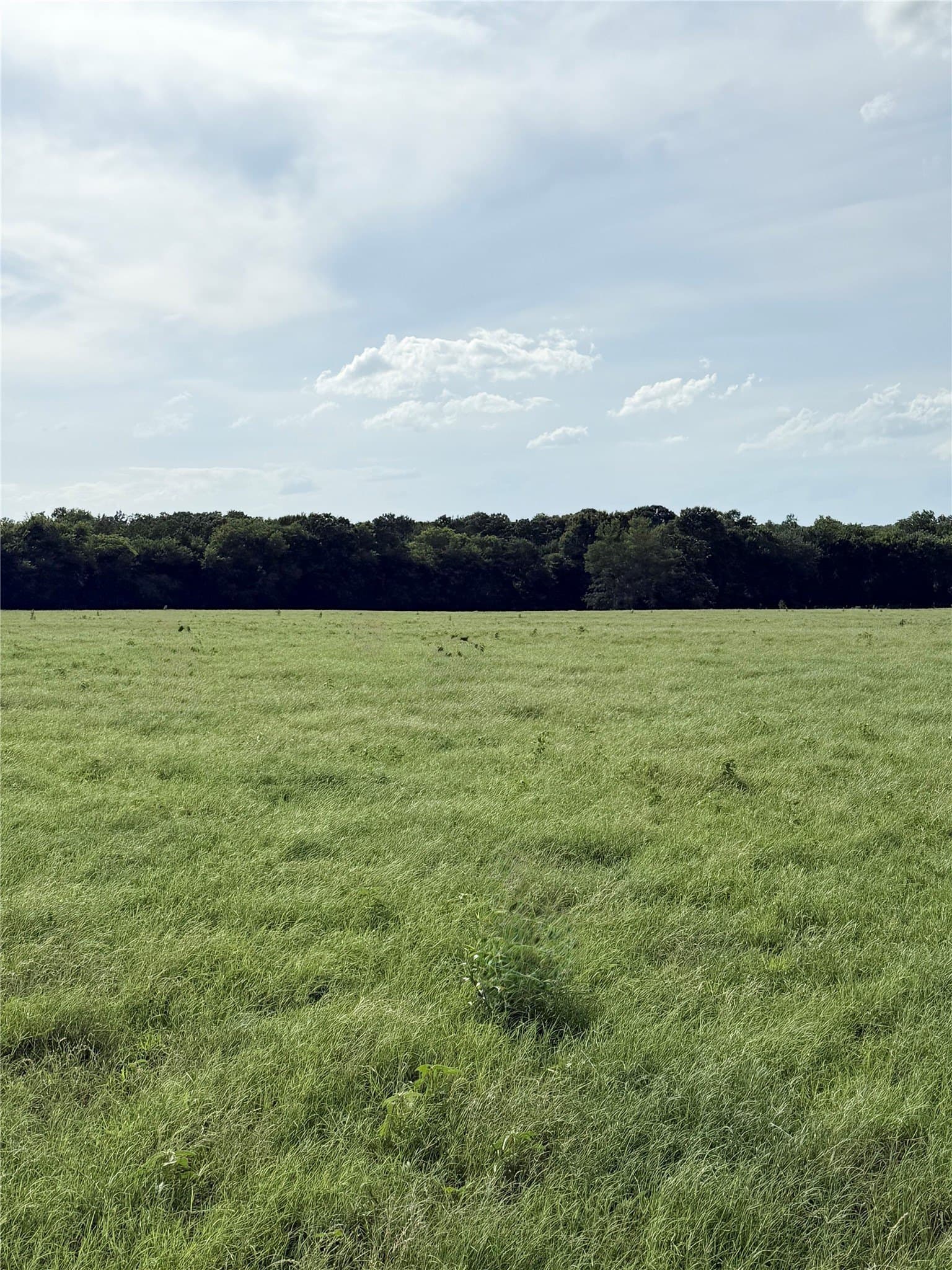 73 acres in Van Zandt County featured view