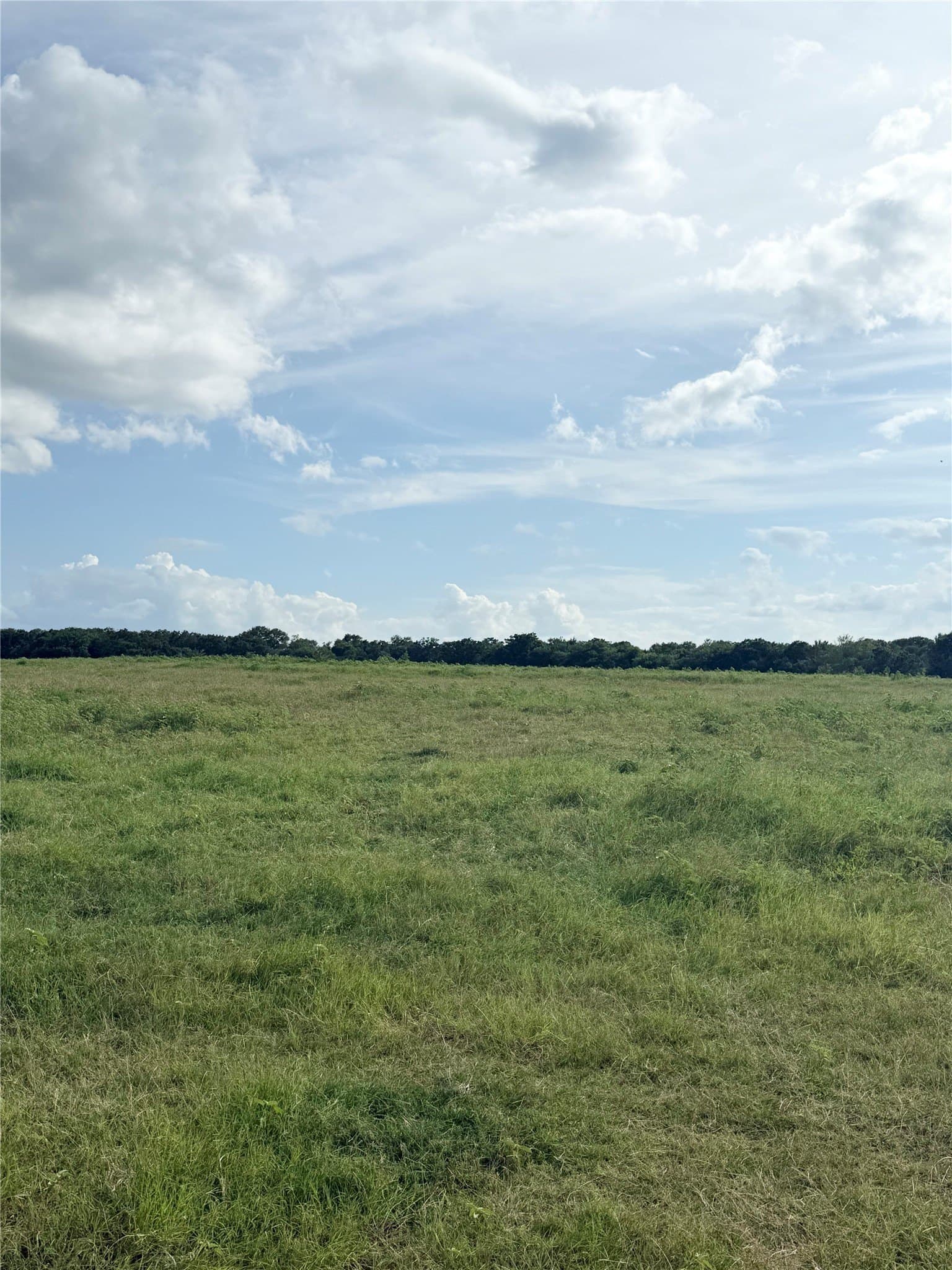 73 acres in Van Zandt County gallery image 4