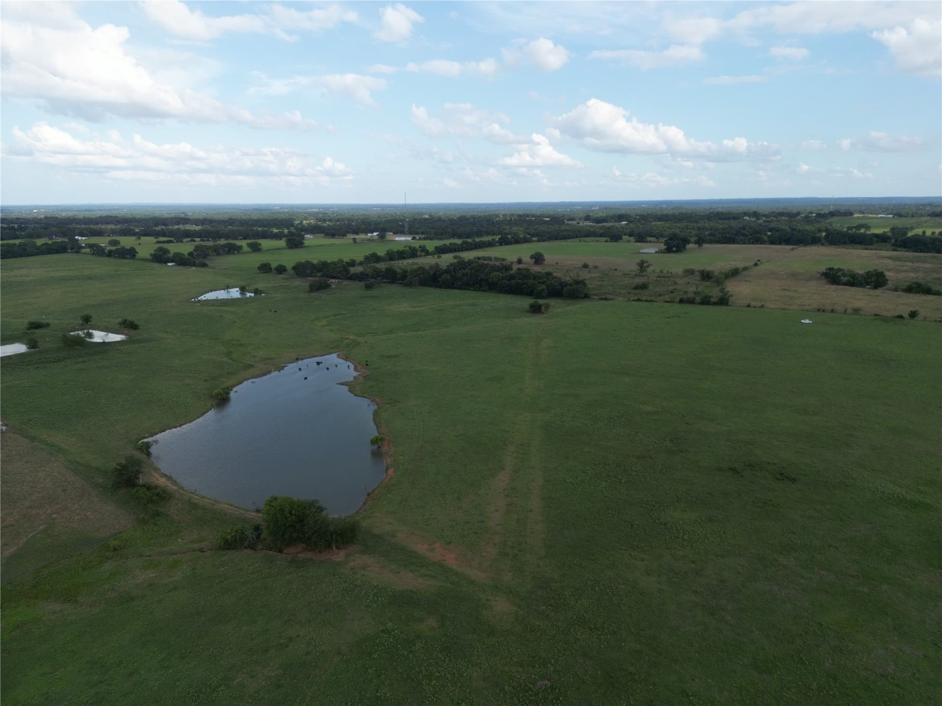 73 acres in Van Zandt County gallery image 2