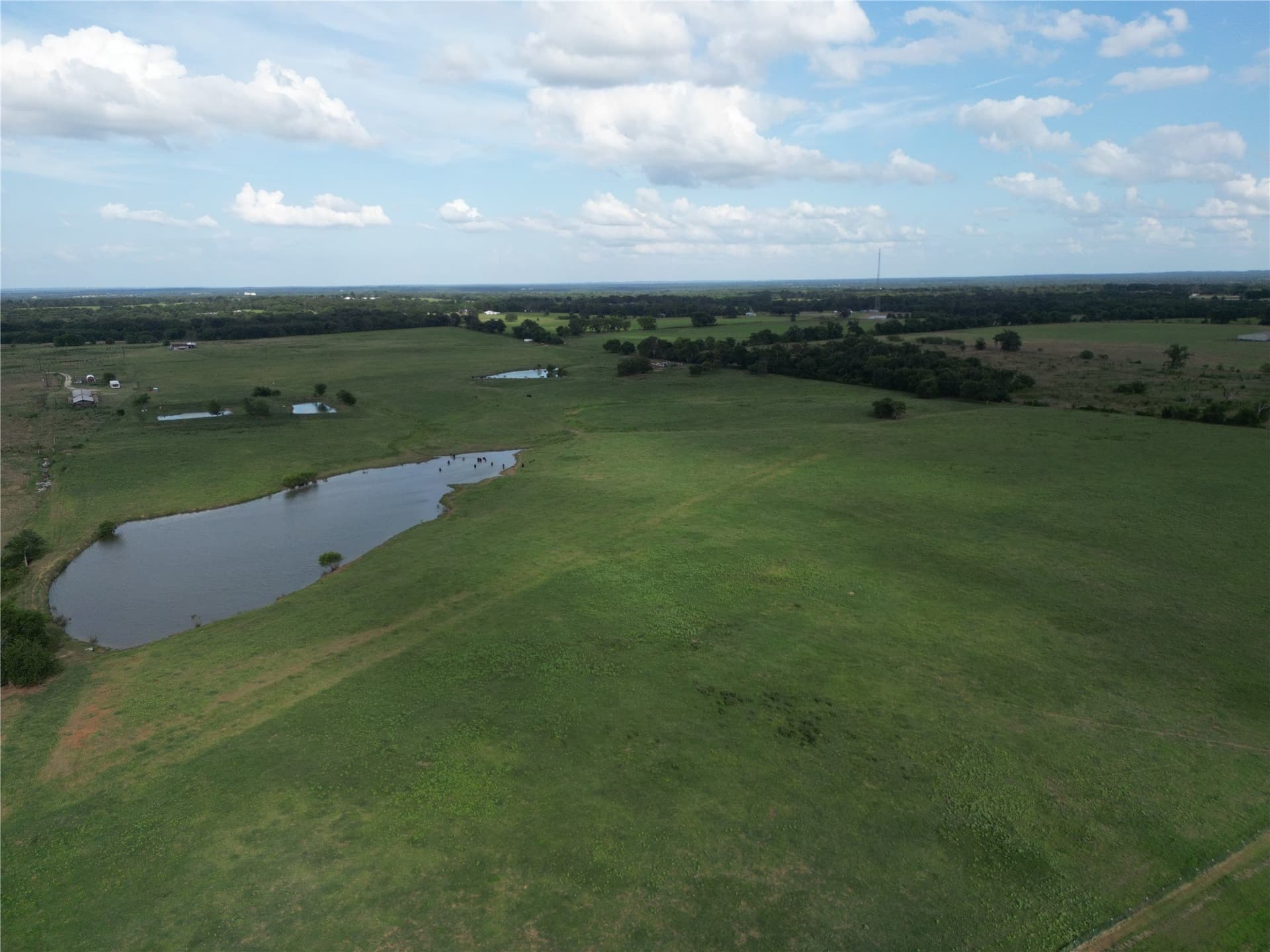 73 acres in Van Zandt County gallery image 3