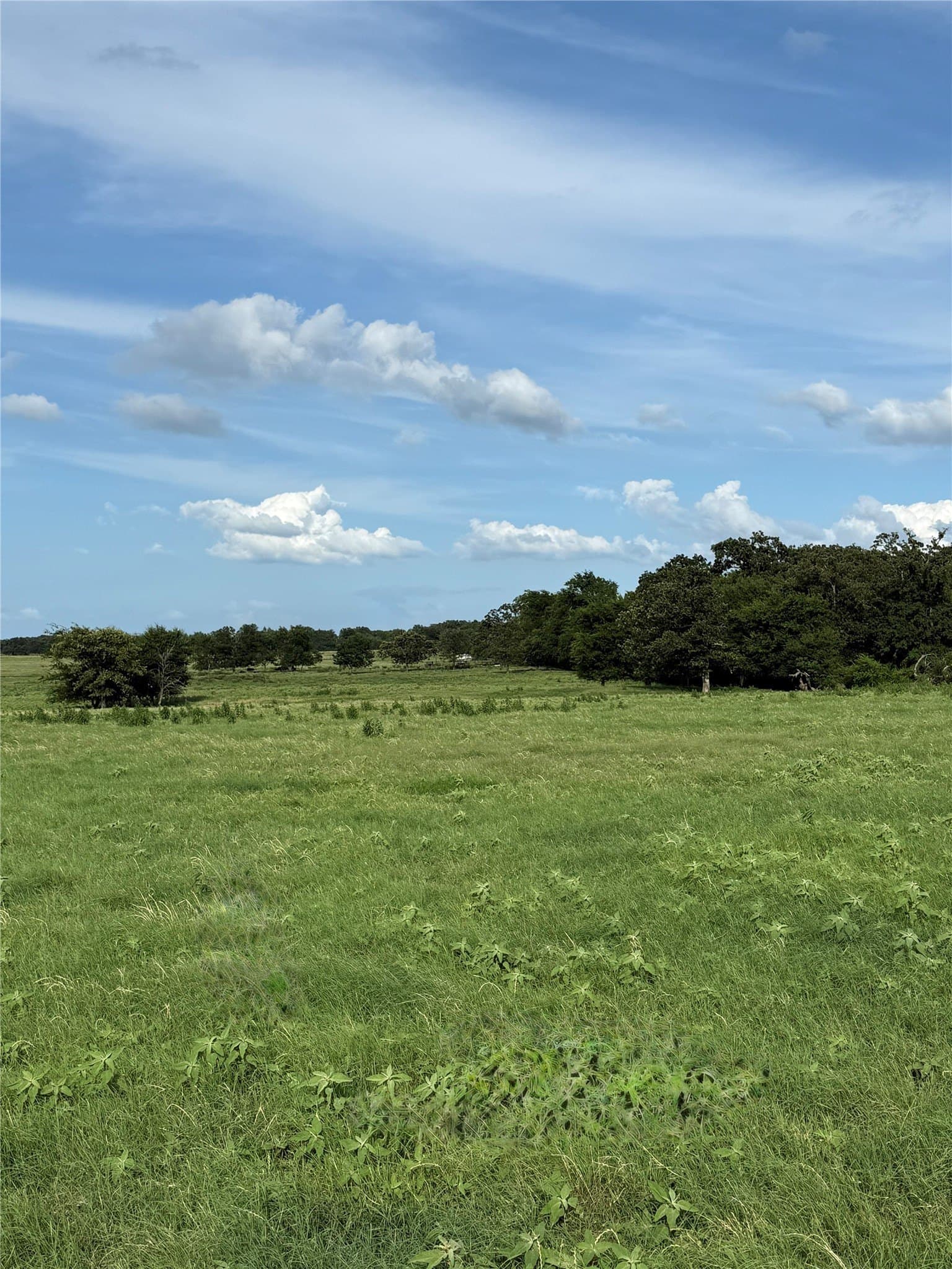 73 acres in Van Zandt County - photo 8