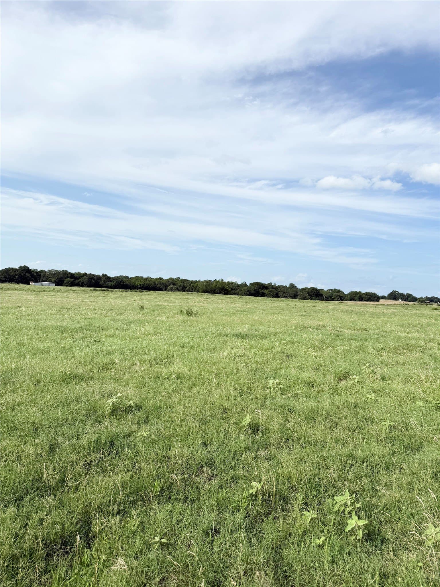 73 acres in Van Zandt County - photo 6