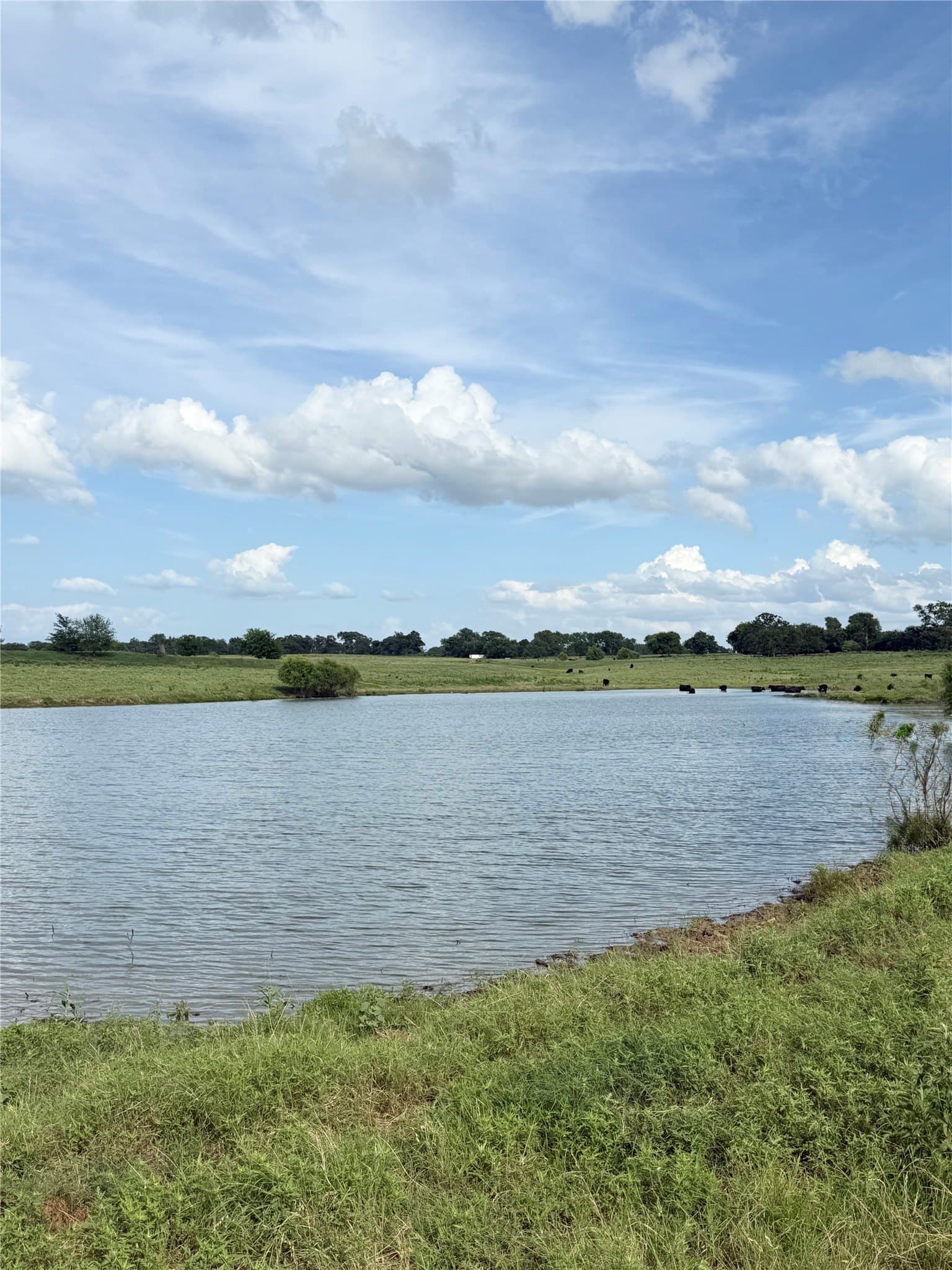 73 acres in Van Zandt County - photo 7