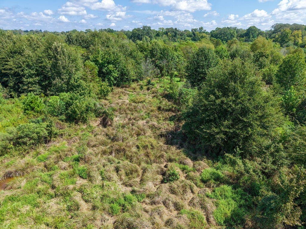 15.96 acres in Texas County - photo 5