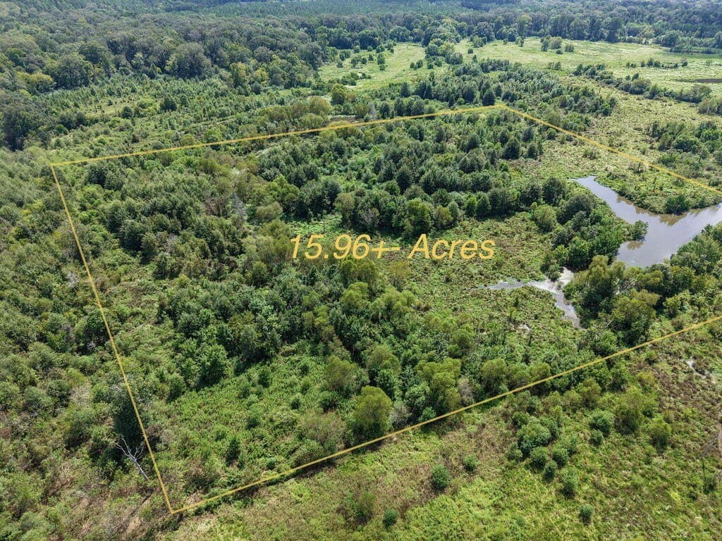 15.96 acres in Texas County - photo 2