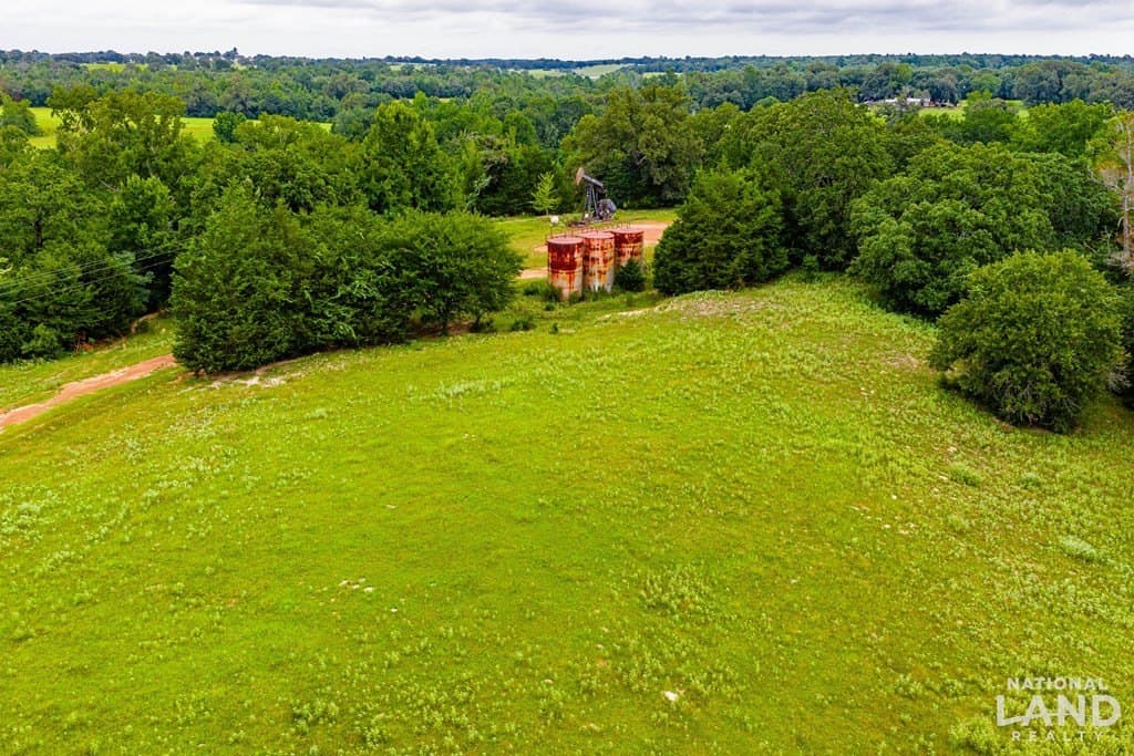 55.25 acres in Anderson County featured view