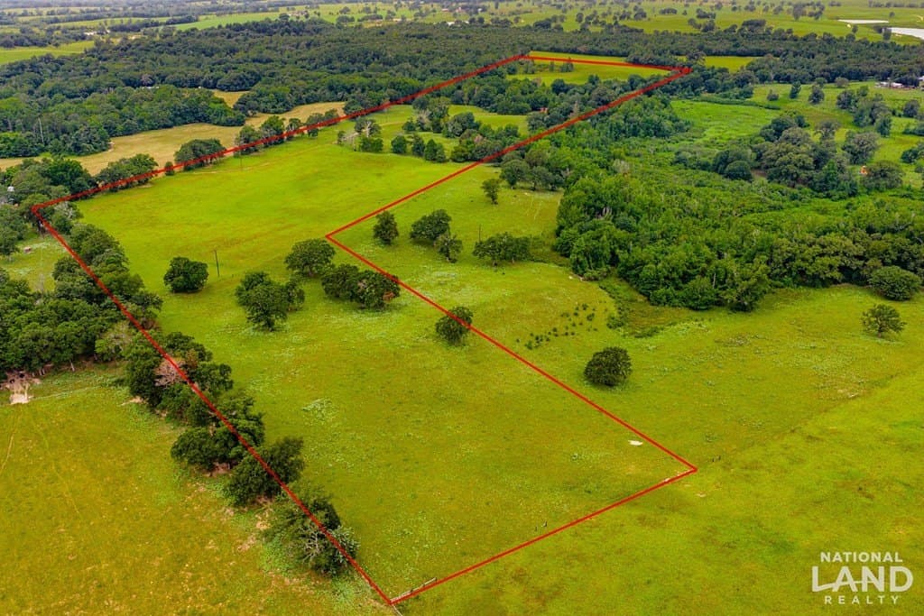 55.25 acres in Anderson County gallery image 2