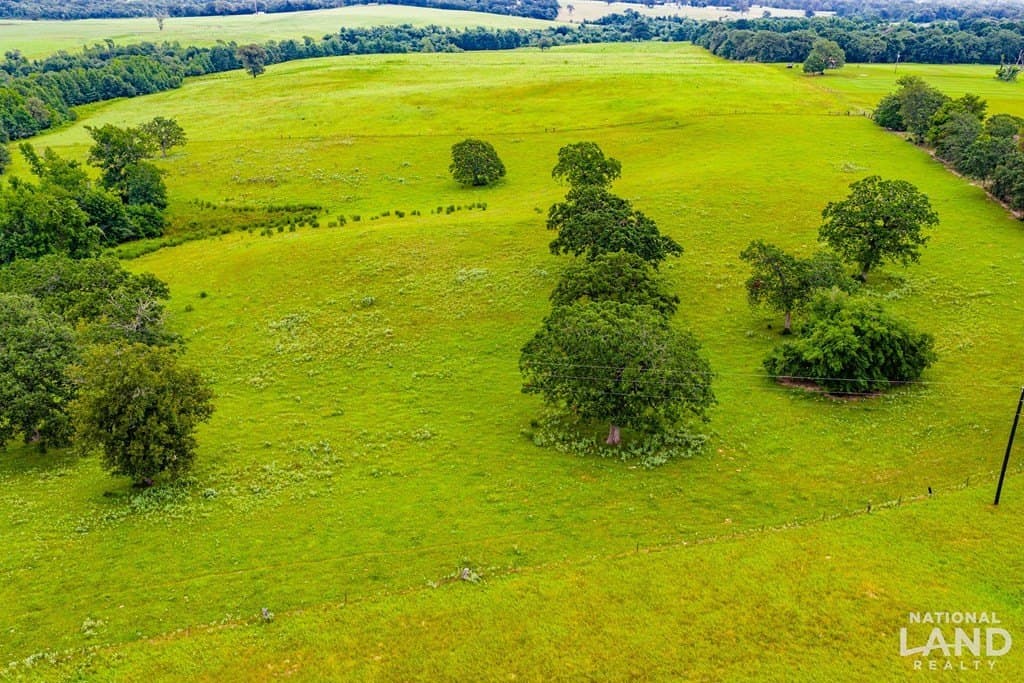 55.25 acres in Anderson County gallery image 4