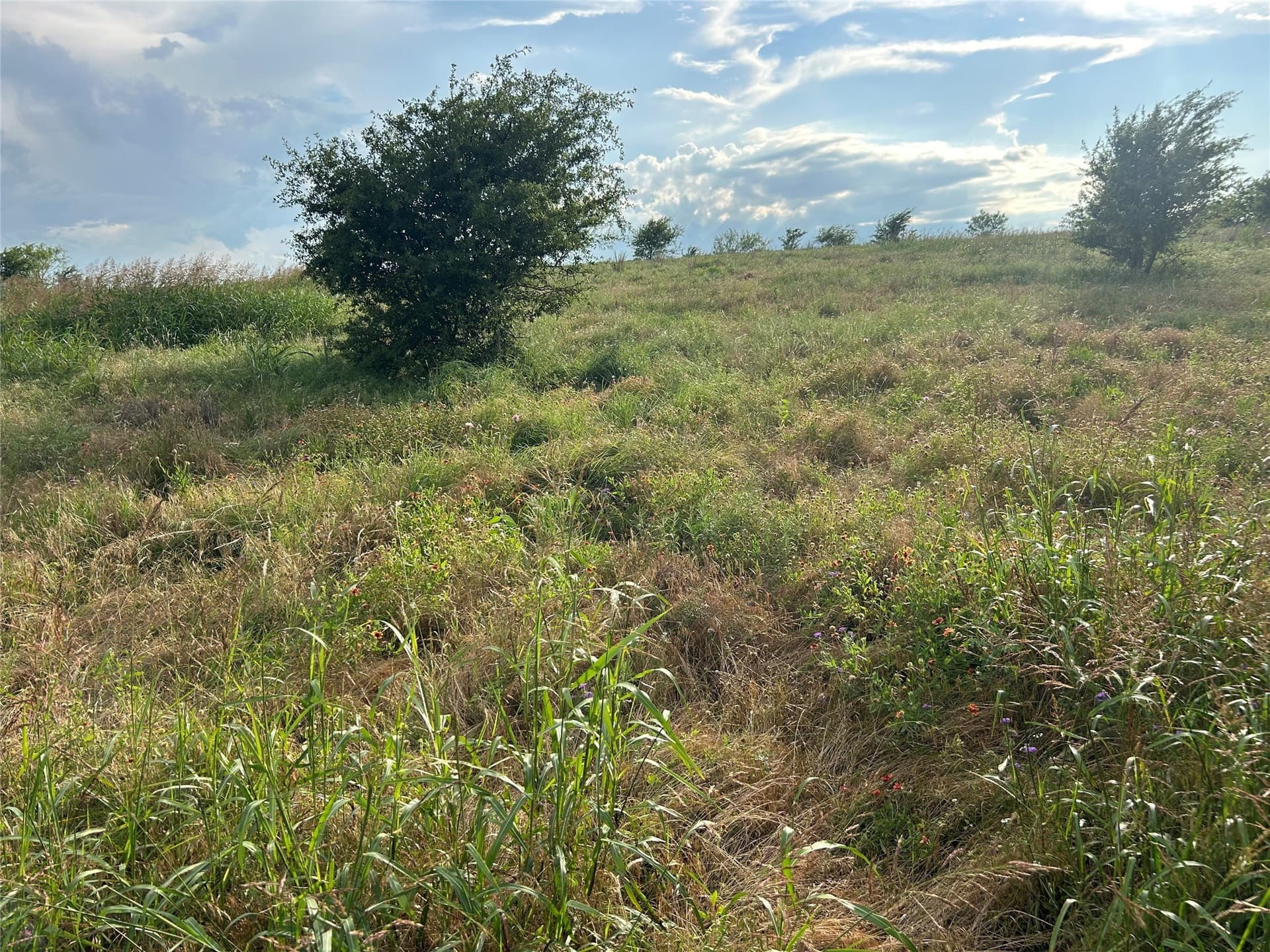 2.3 acres in Parker County - photo 8