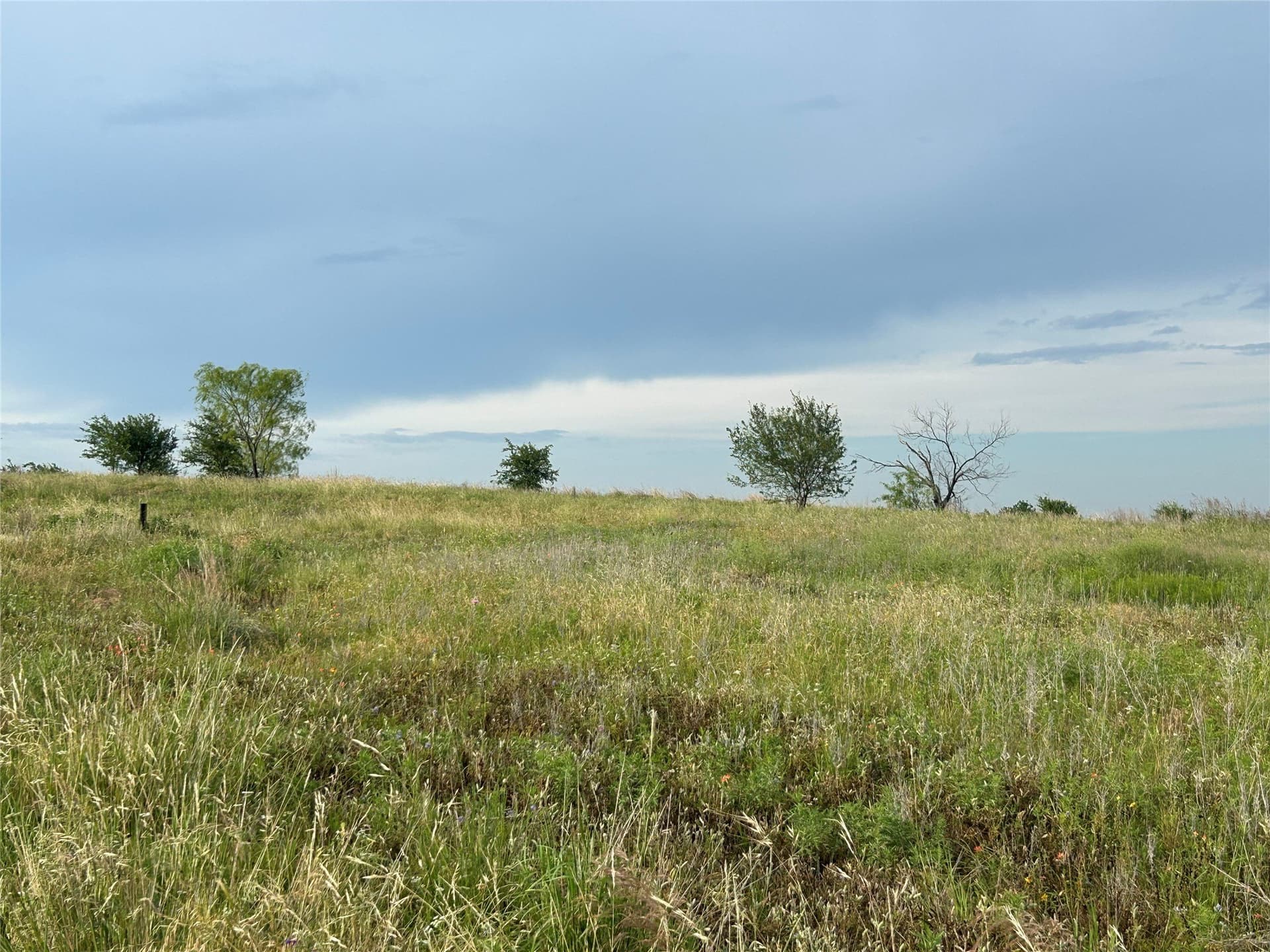 2.3 acres in Parker County gallery image 3