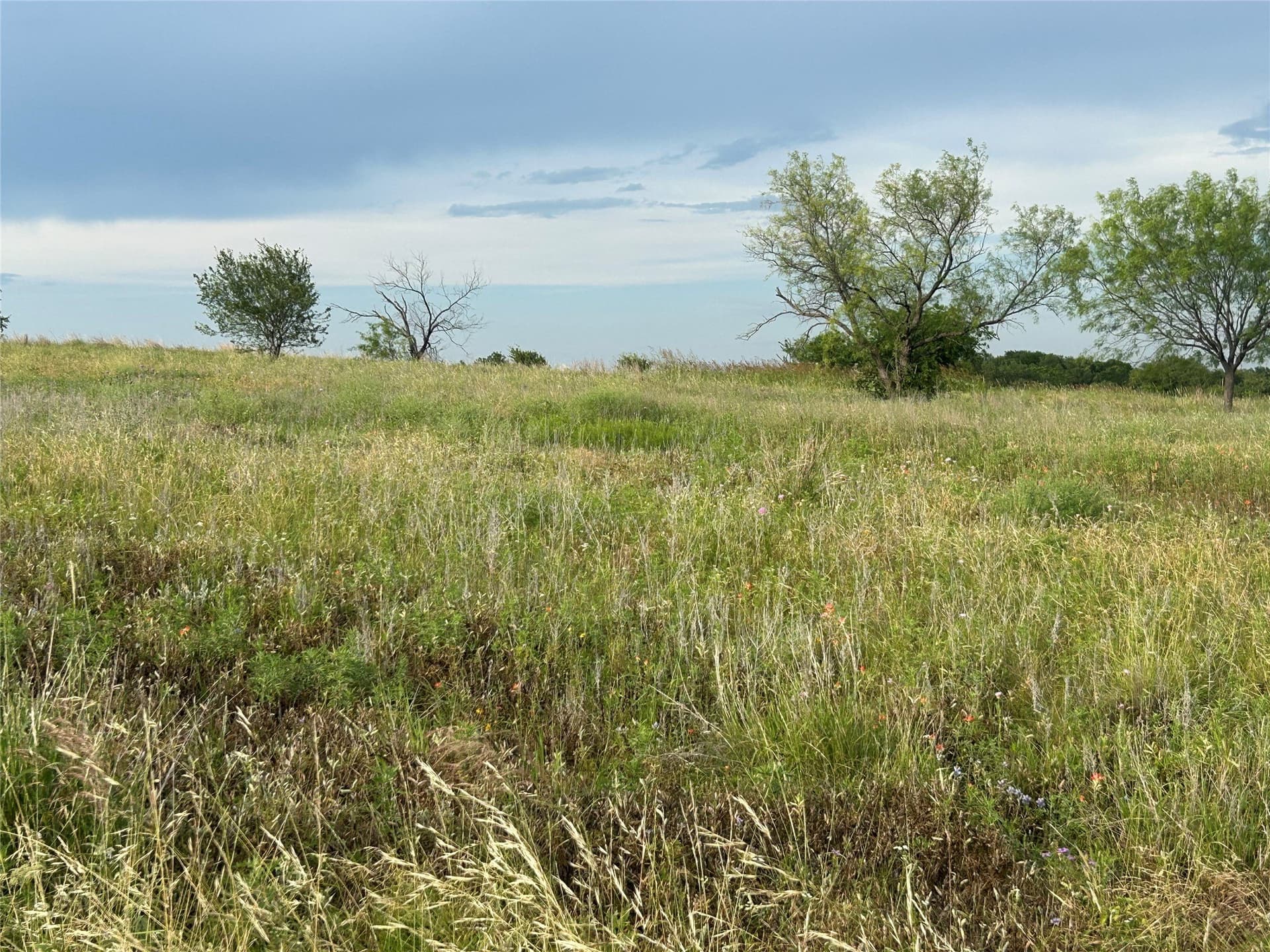 2.3 acres in Parker County gallery image 4