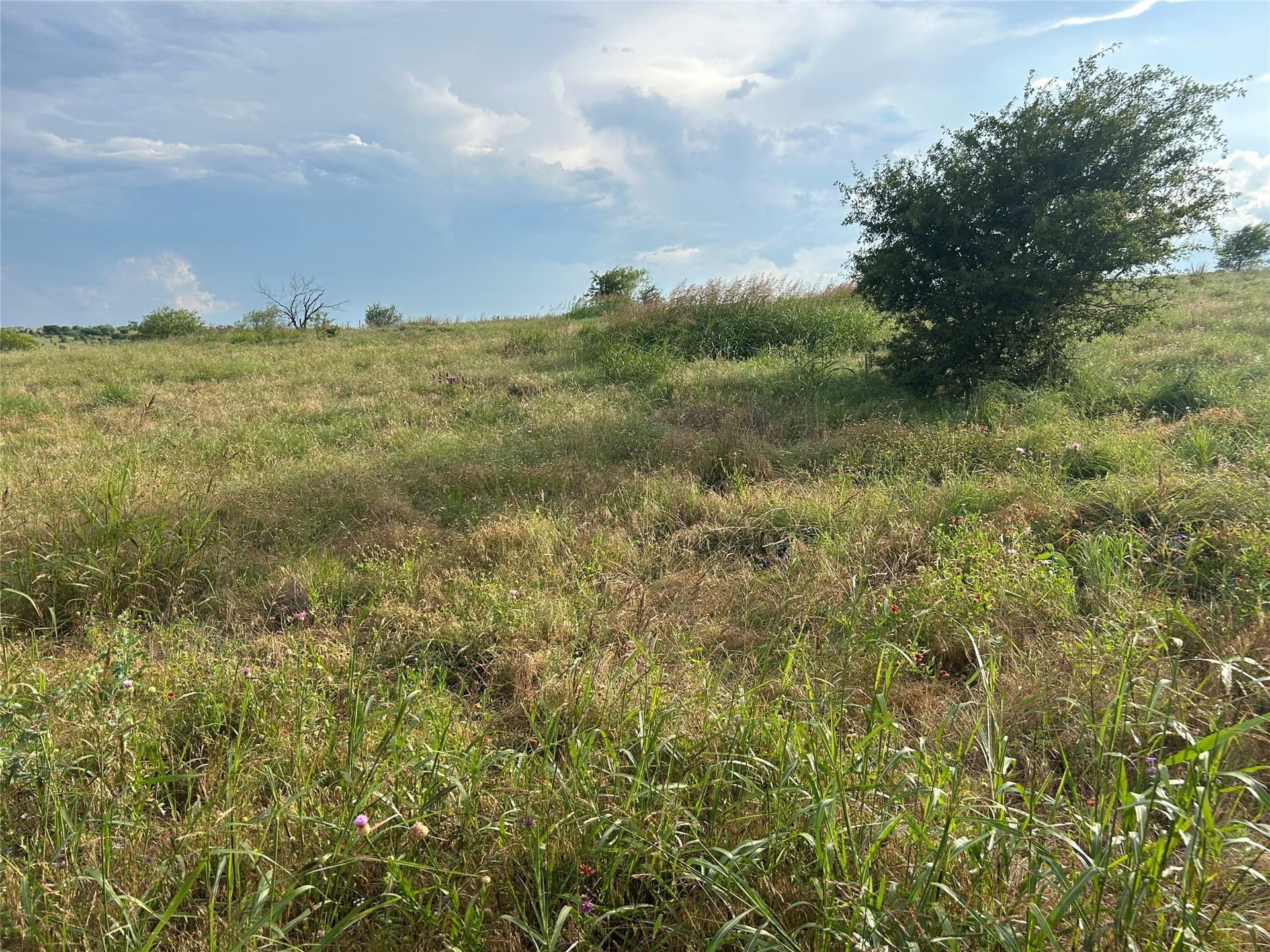 2.3 acres in Parker County - photo 7