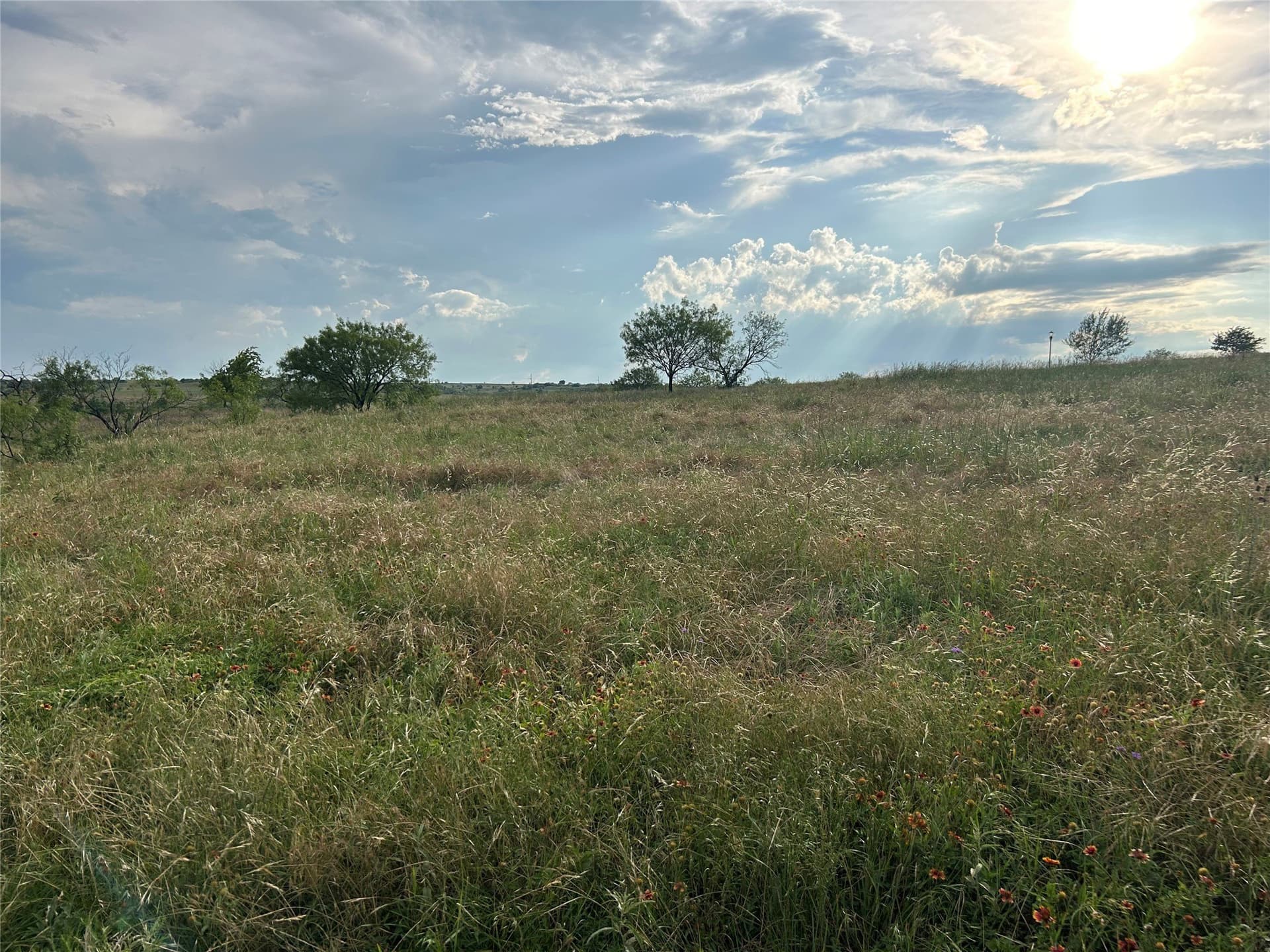 2.3 acres in Parker County - photo 6