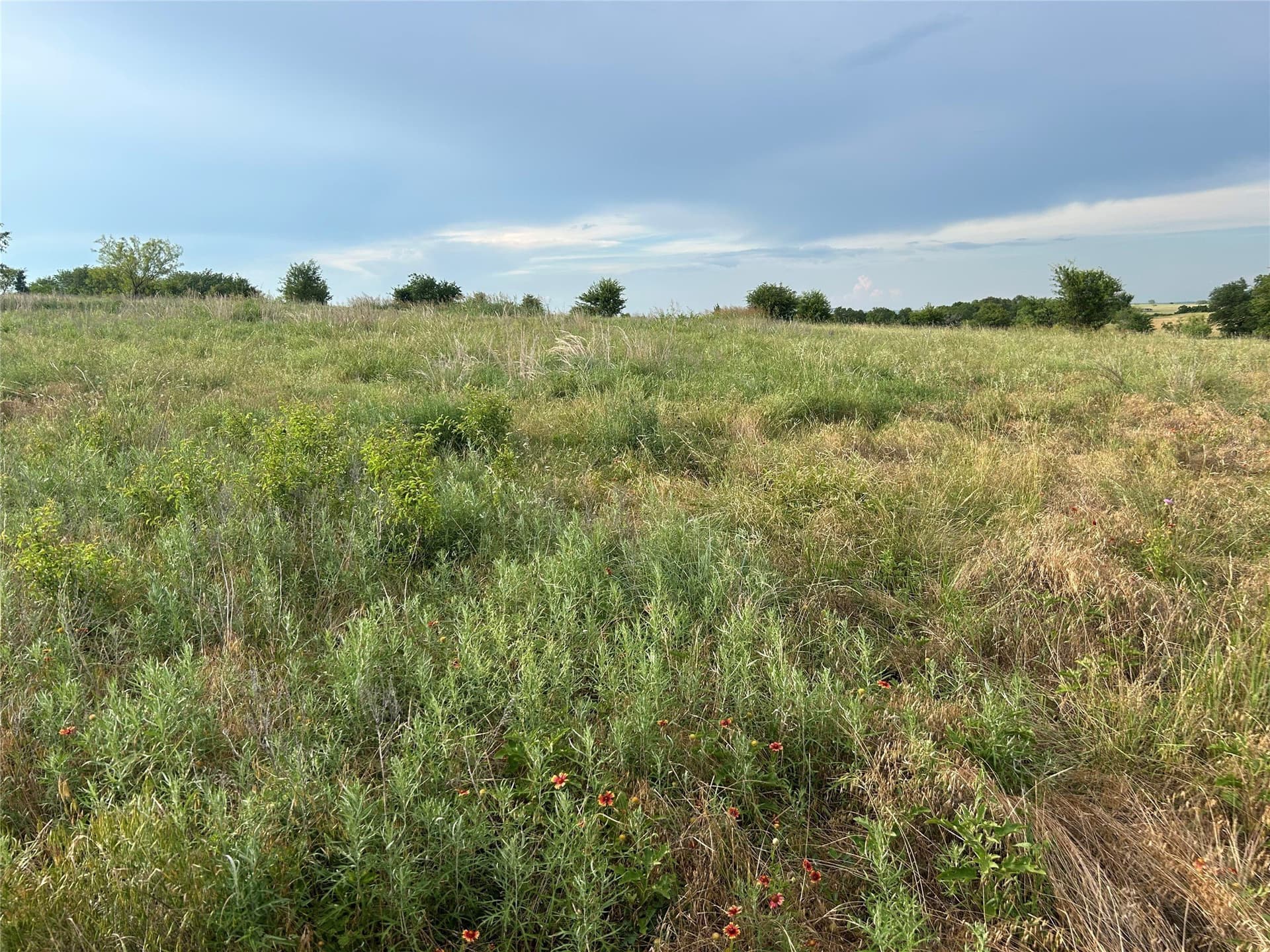 2.3 acres in Parker County gallery image 2