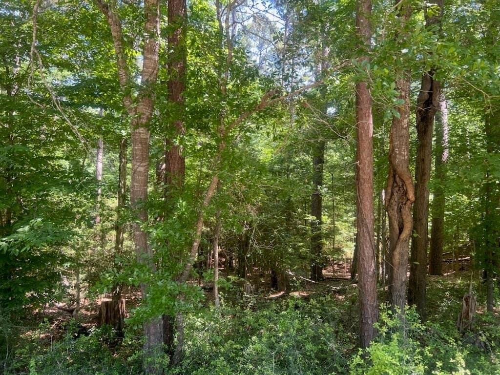 0.5 acres in Texas County