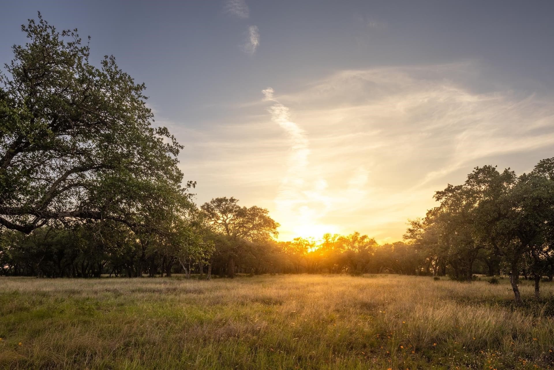 530 acres in Blanco County - photo 26