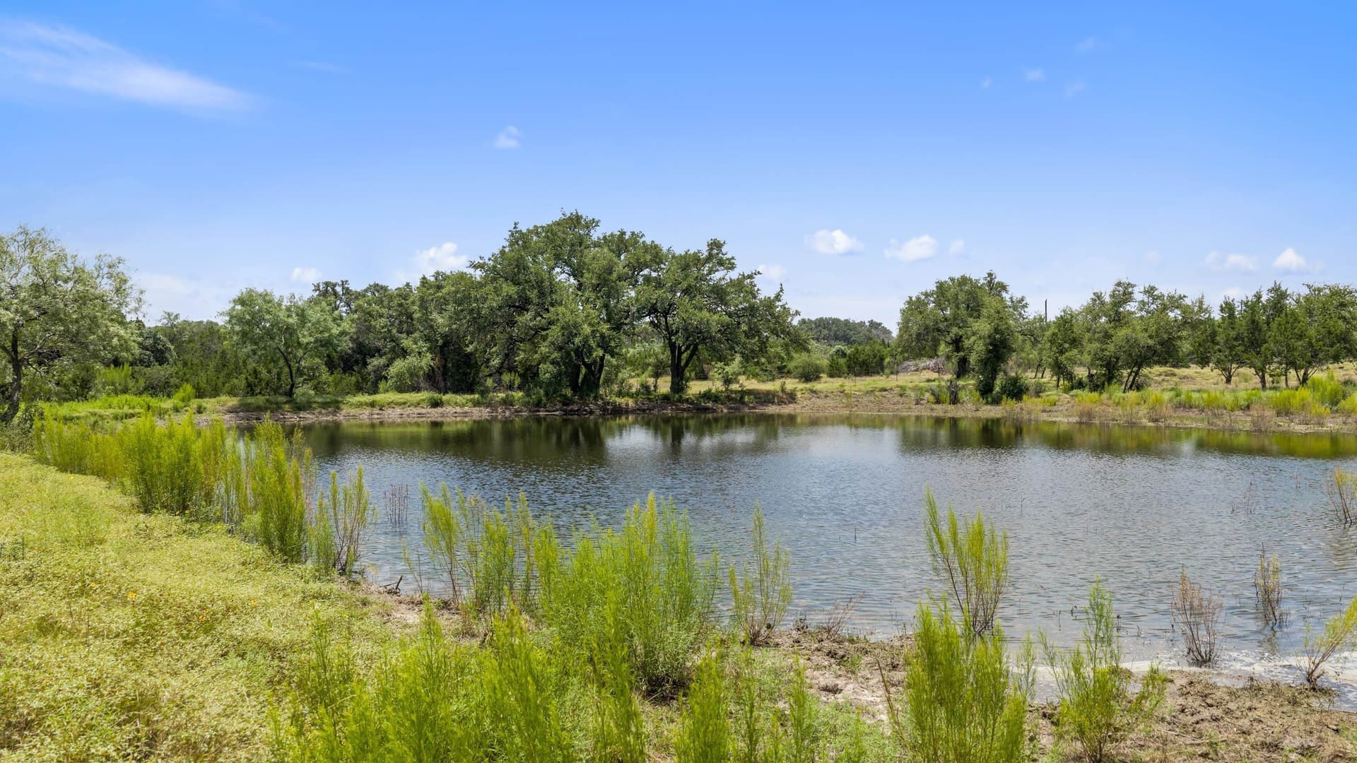 530 acres in Blanco County - photo 33