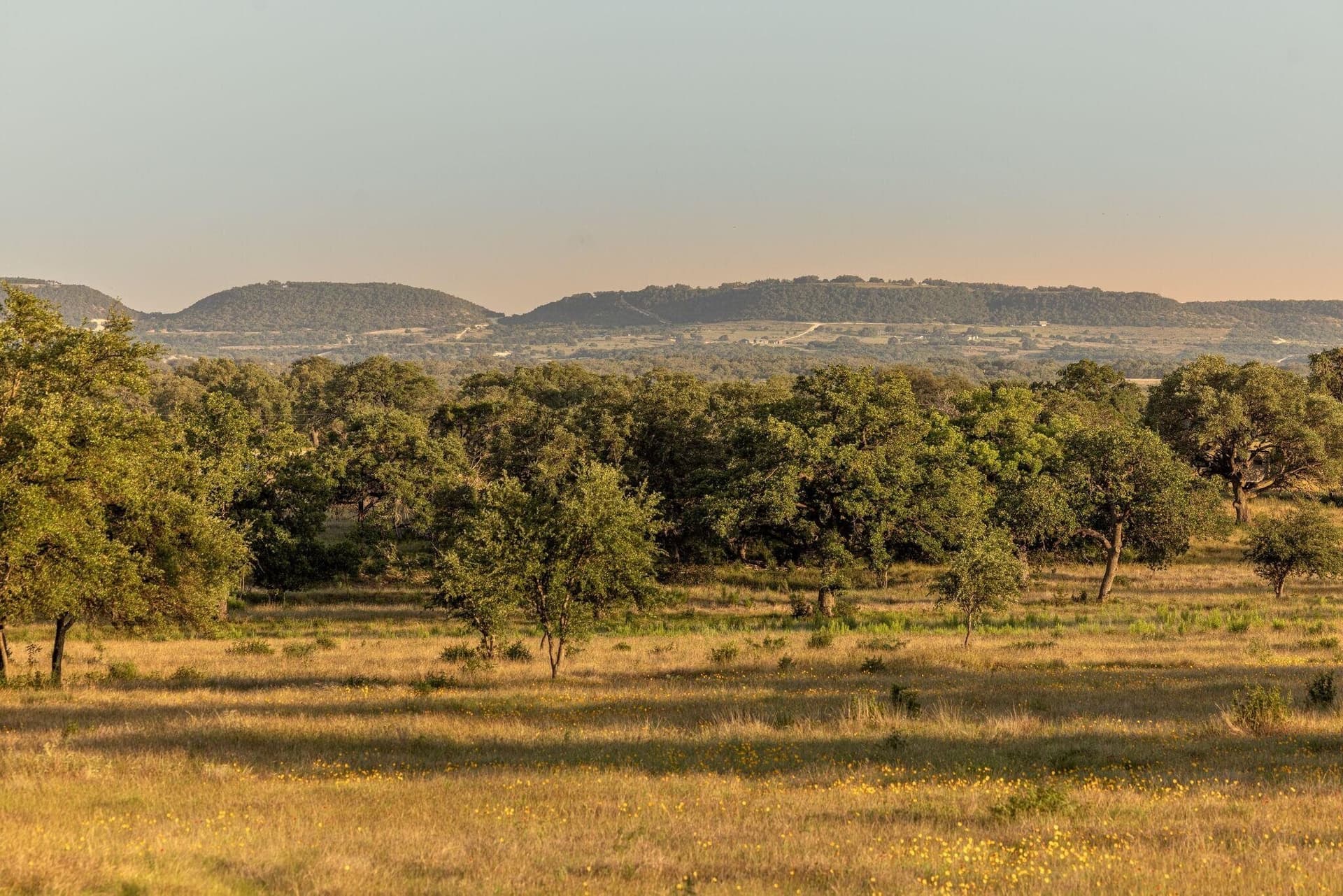 583 acres in Blanco County gallery image 2