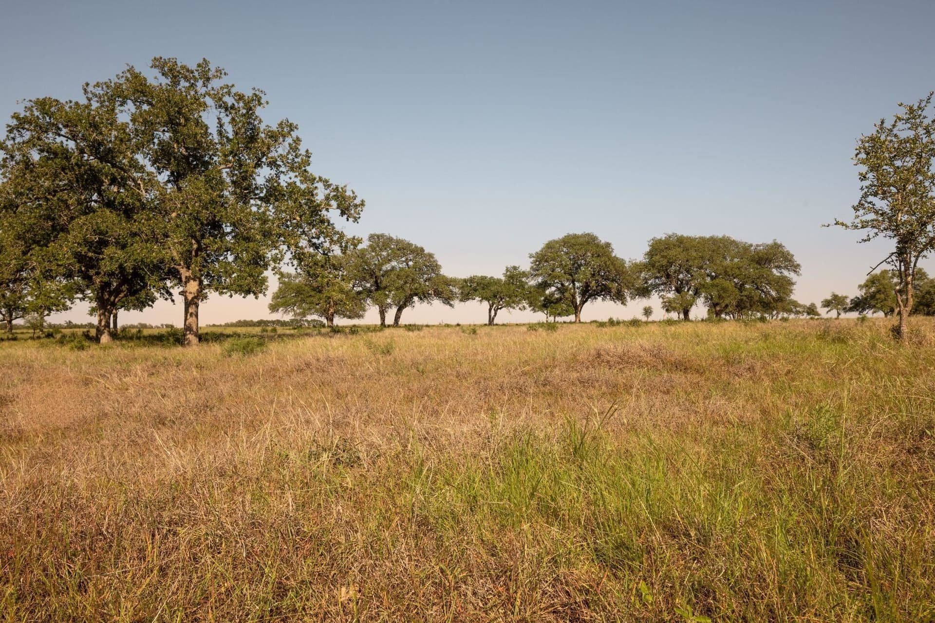 530 acres in Blanco County - photo 19