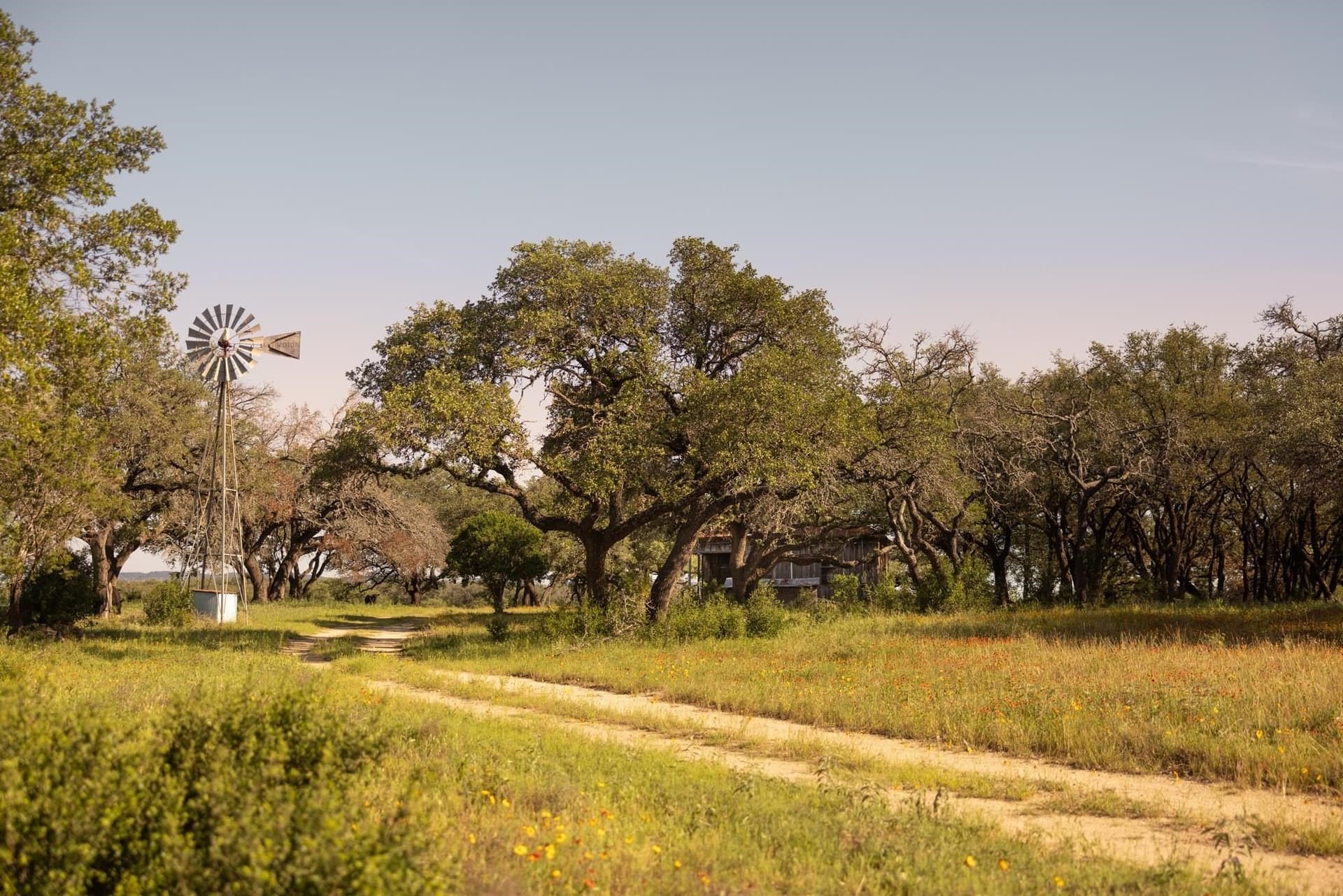 583 acres in Blanco County gallery image 4
