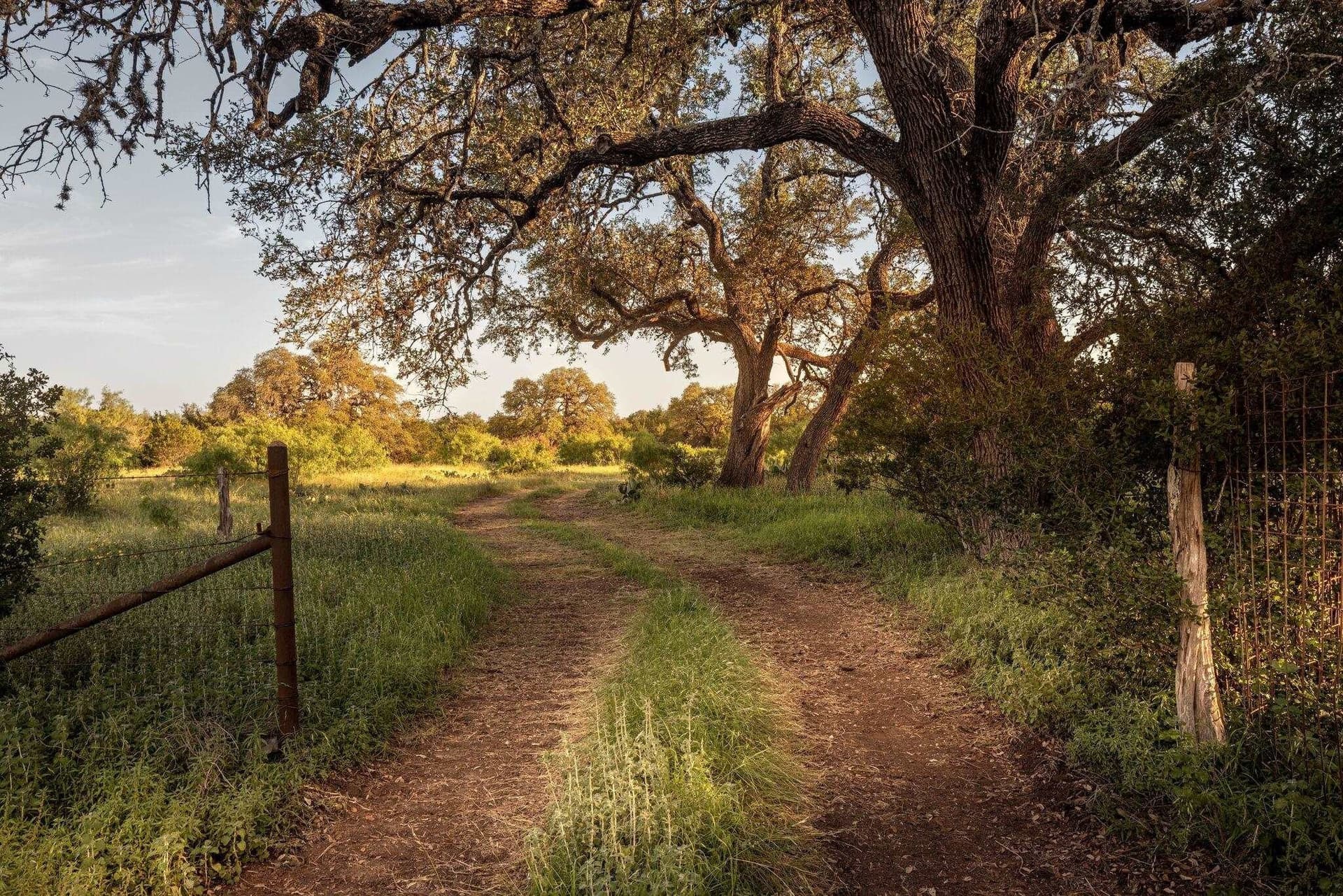 530 acres in Blanco County - photo 16