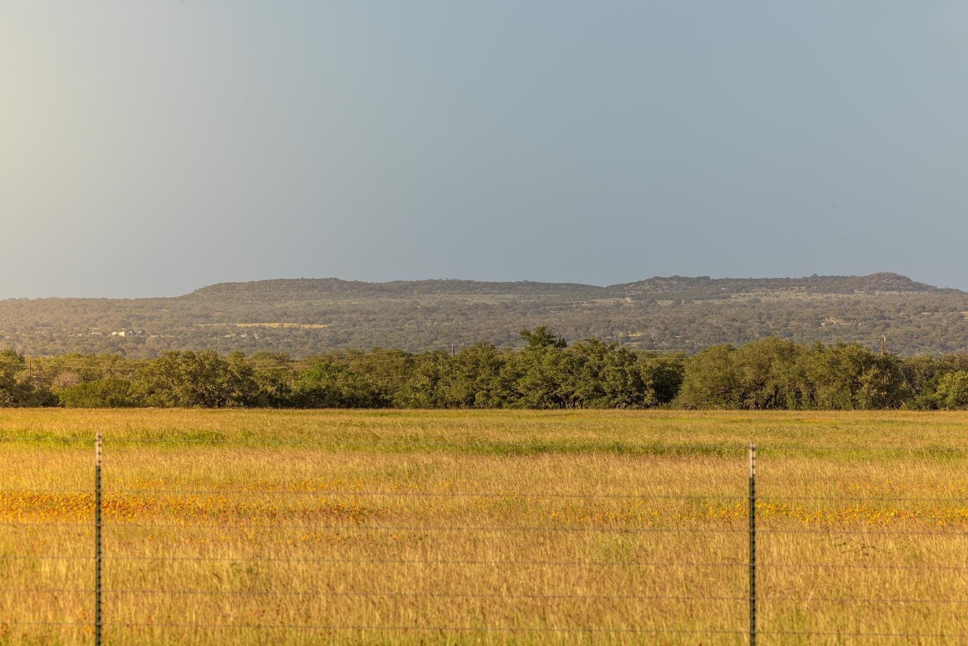 530 acres in Blanco County - photo 34