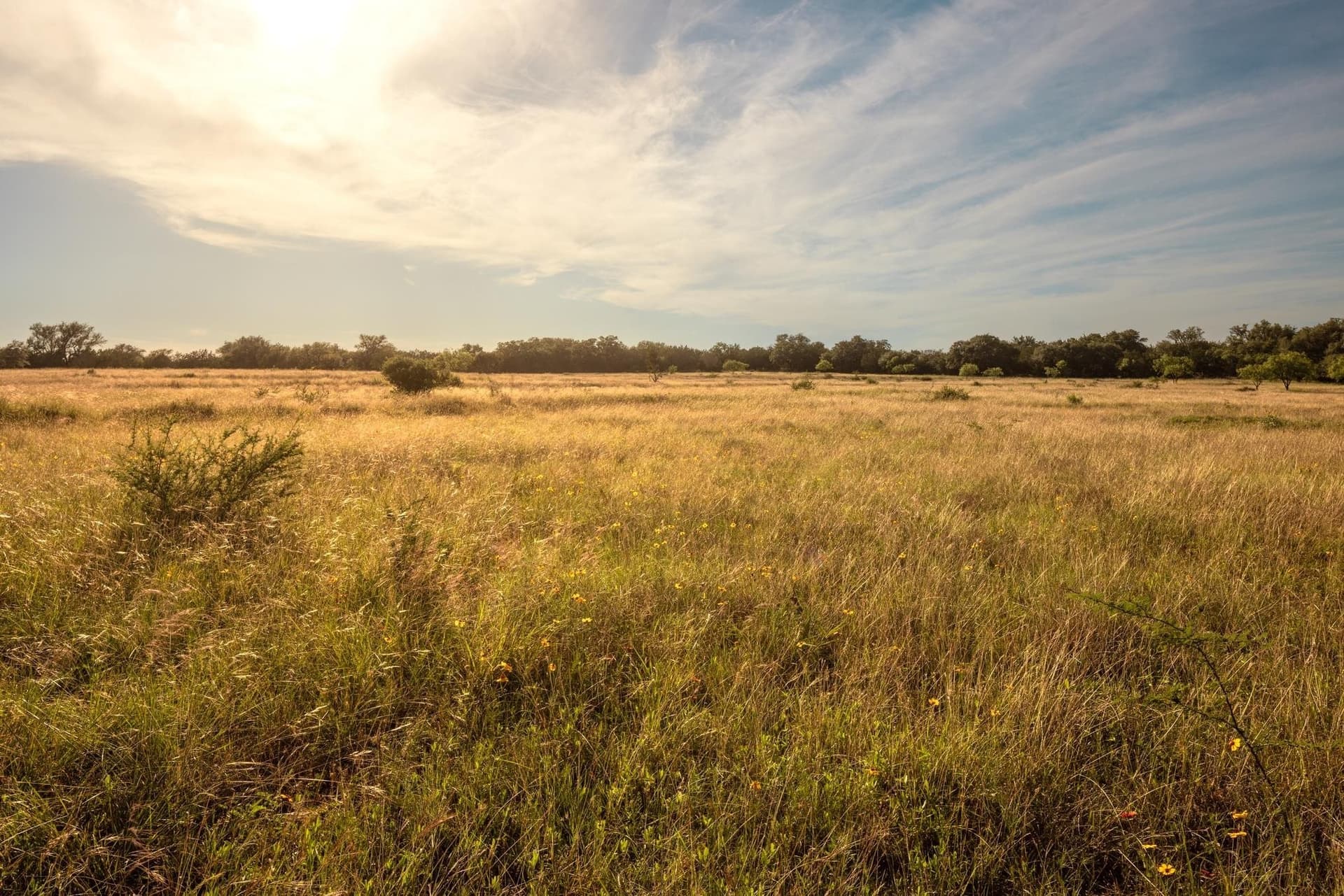 530 acres in Blanco County - photo 24