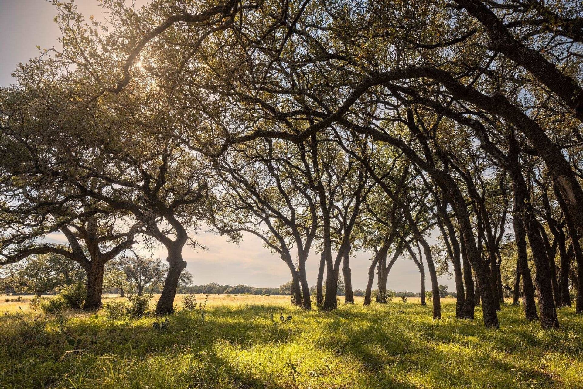 583 acres in Blanco County featured view