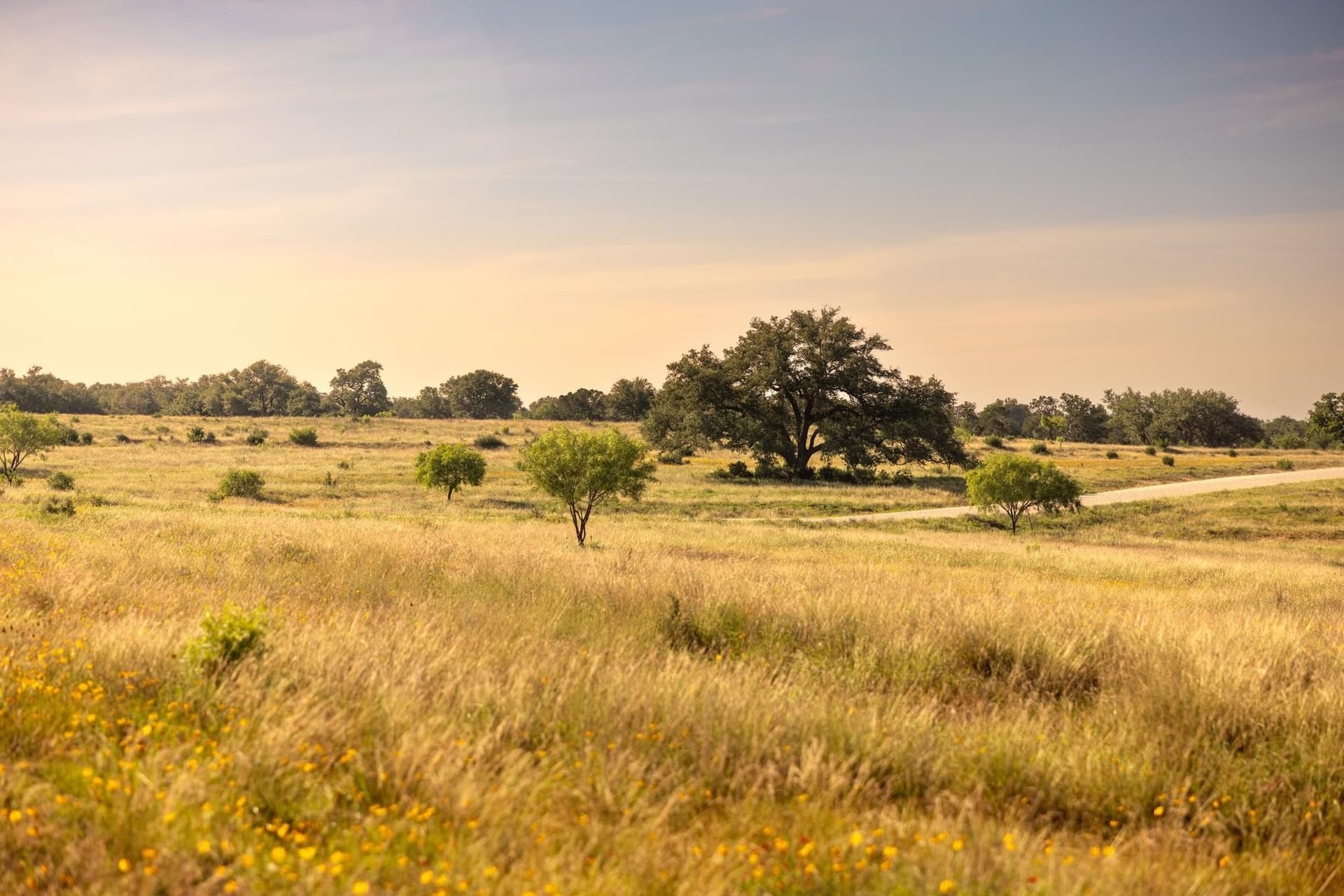 583 acres in Blanco County gallery image 3