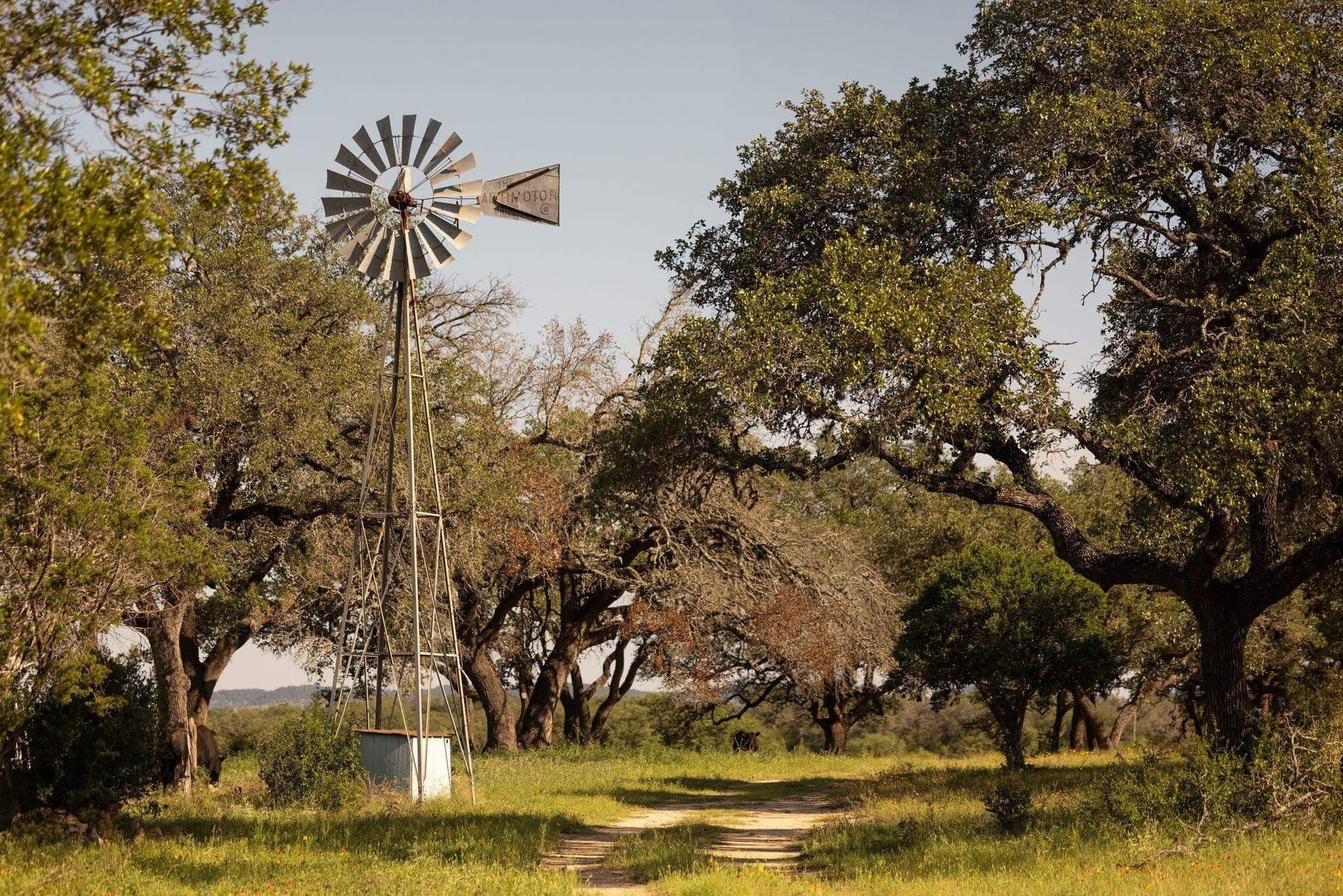 530 acres in Blanco County - photo 9