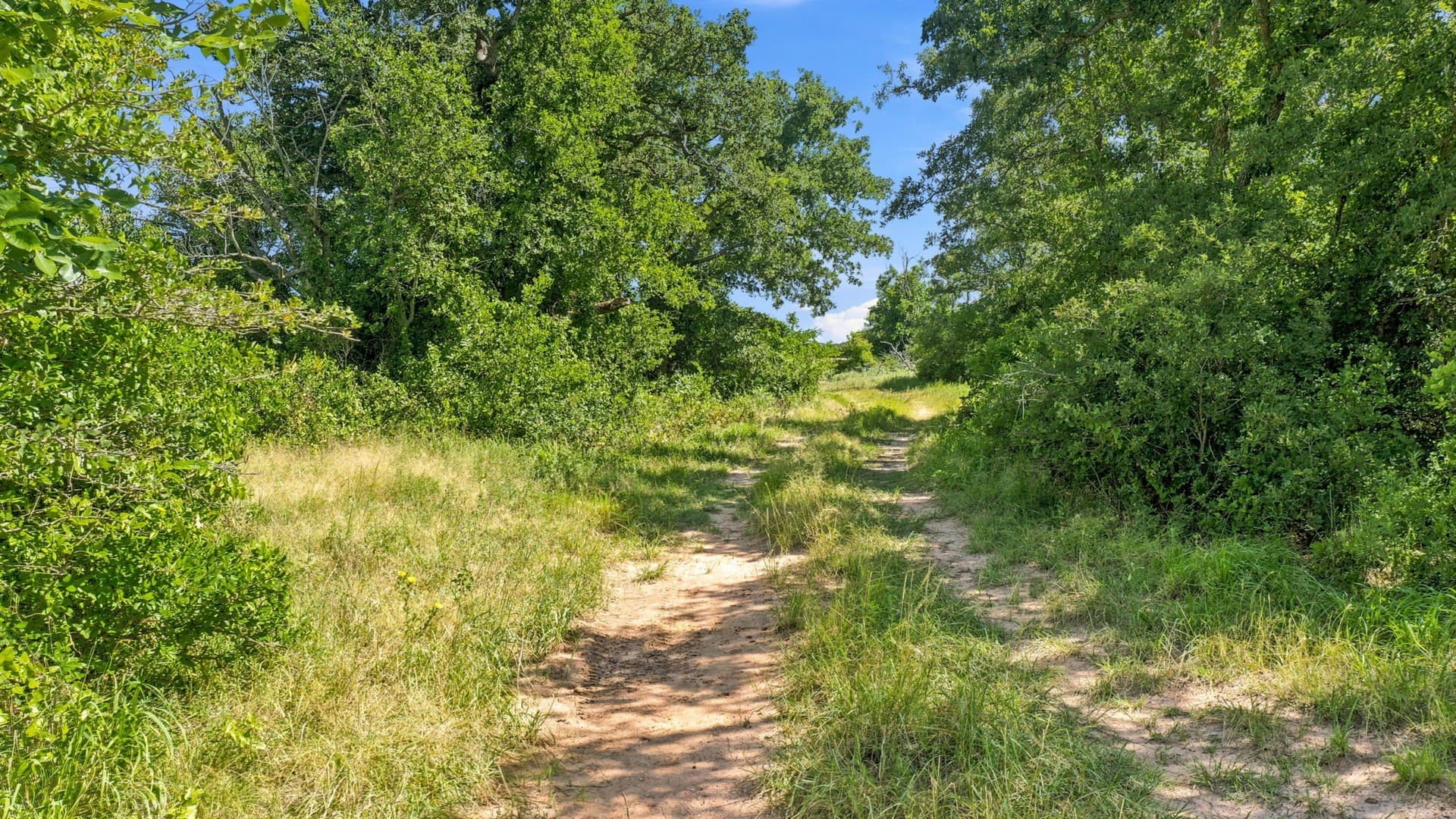 80 acres in Eastland County - photo 2