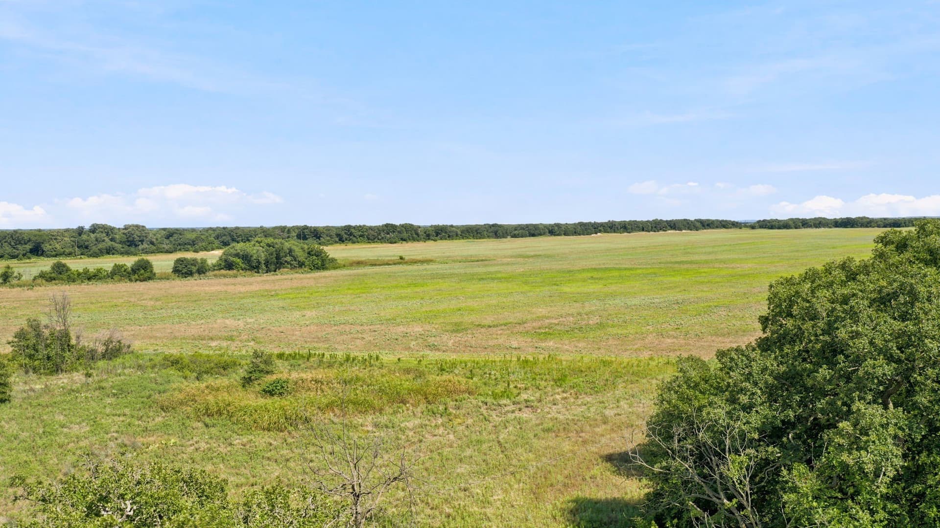 80 acres in Eastland County - photo 11