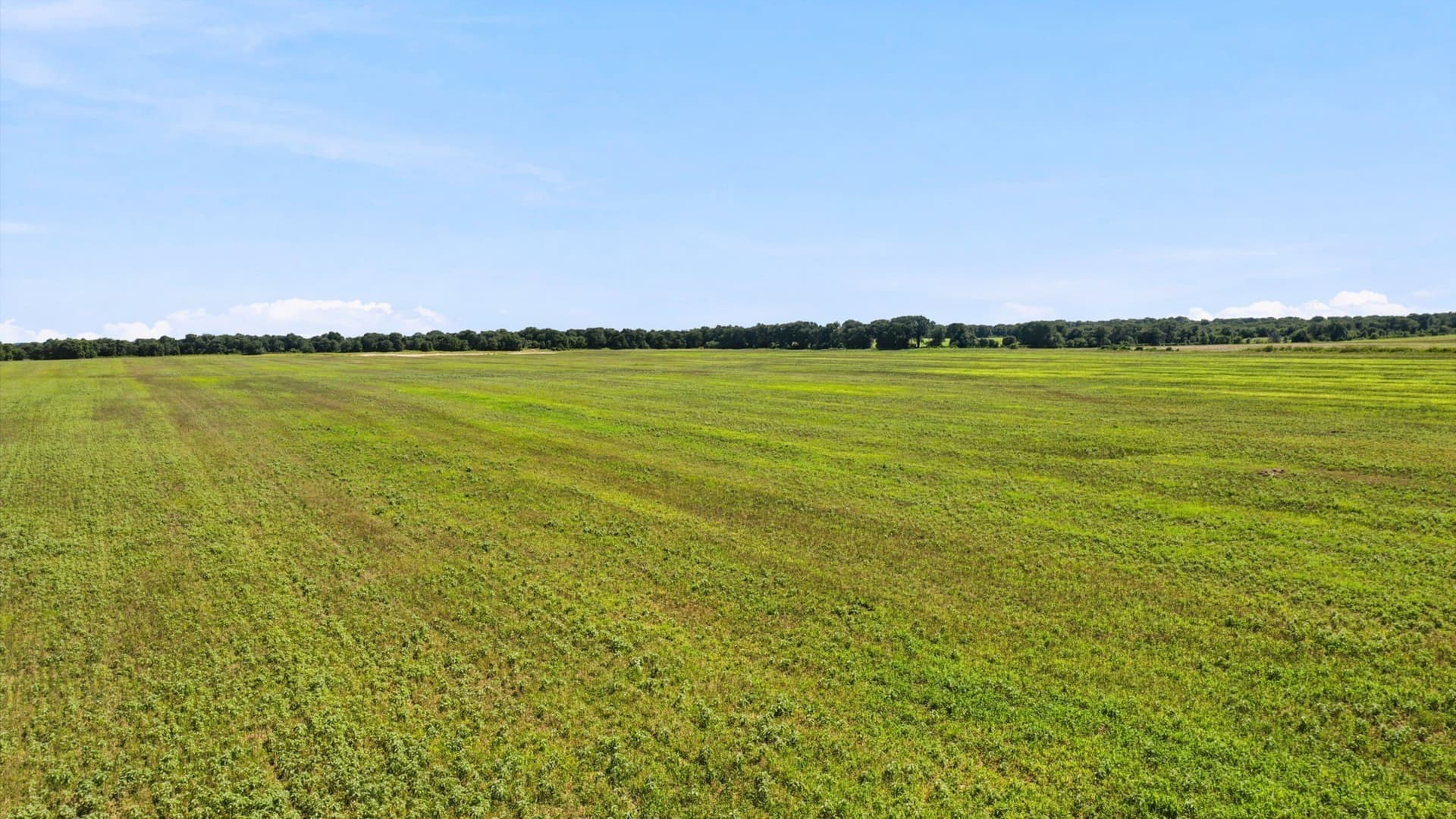 80 acres in Eastland County - photo 6