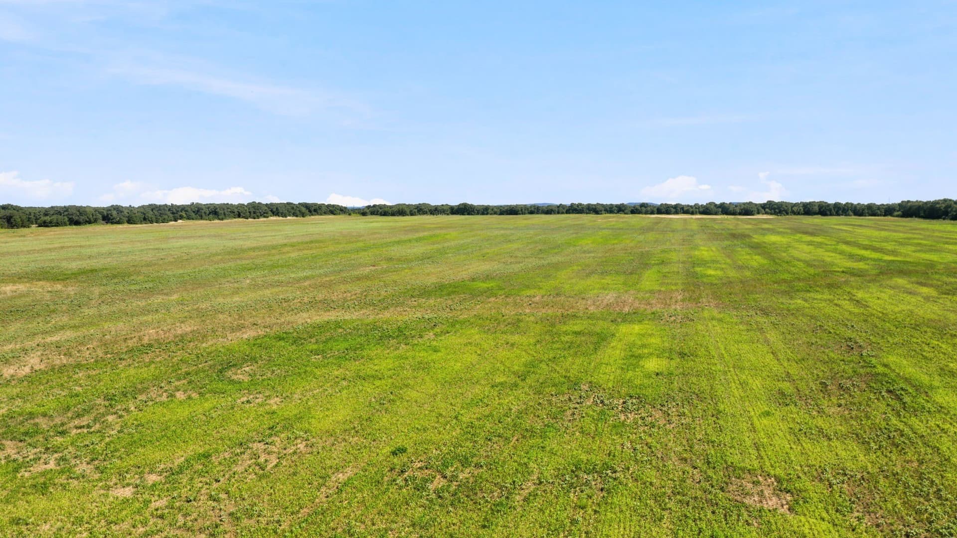 80 acres in Eastland County - photo 4