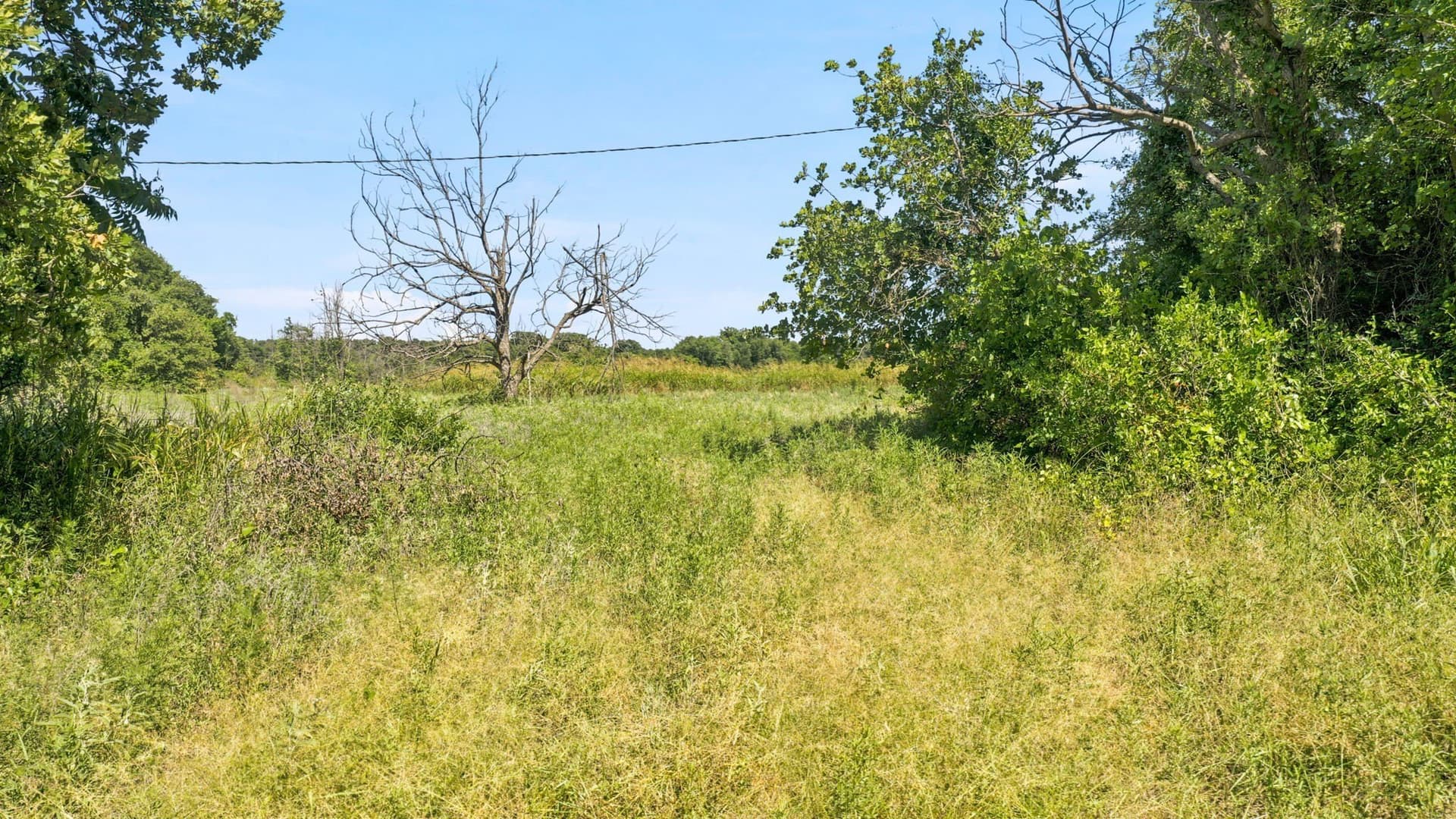 80 acres in Eastland County - photo 3
