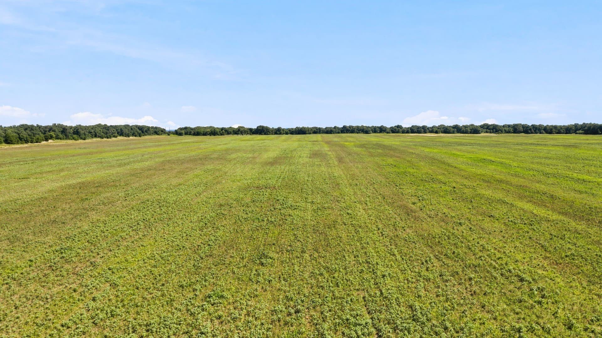 80 acres in Eastland County - photo 8