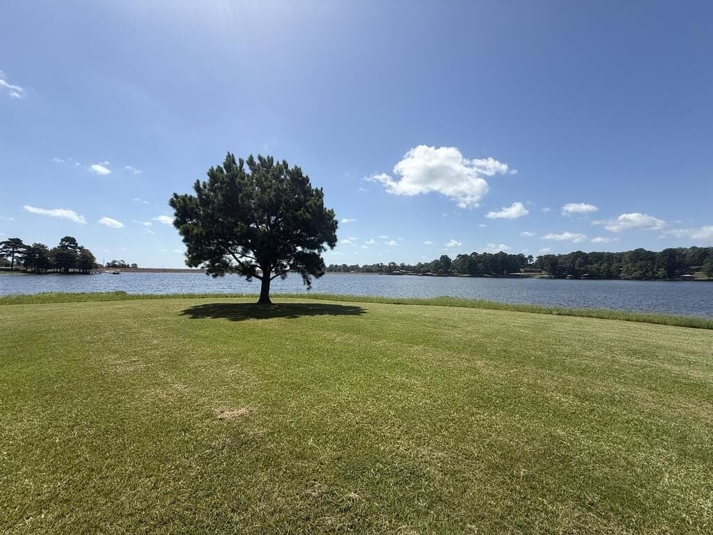 0.29 acres in Texas County - photo 8