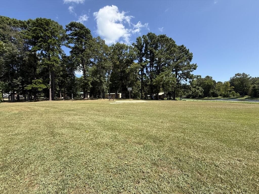 0.29 acres in Texas County - photo 7
