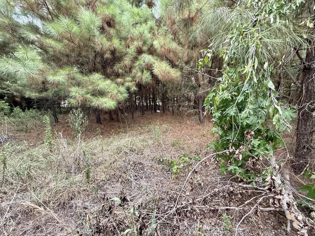 0.29 acres in Texas County - photo 2