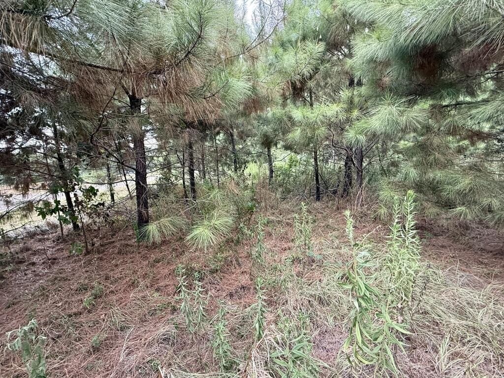 0.29 acres in Texas County