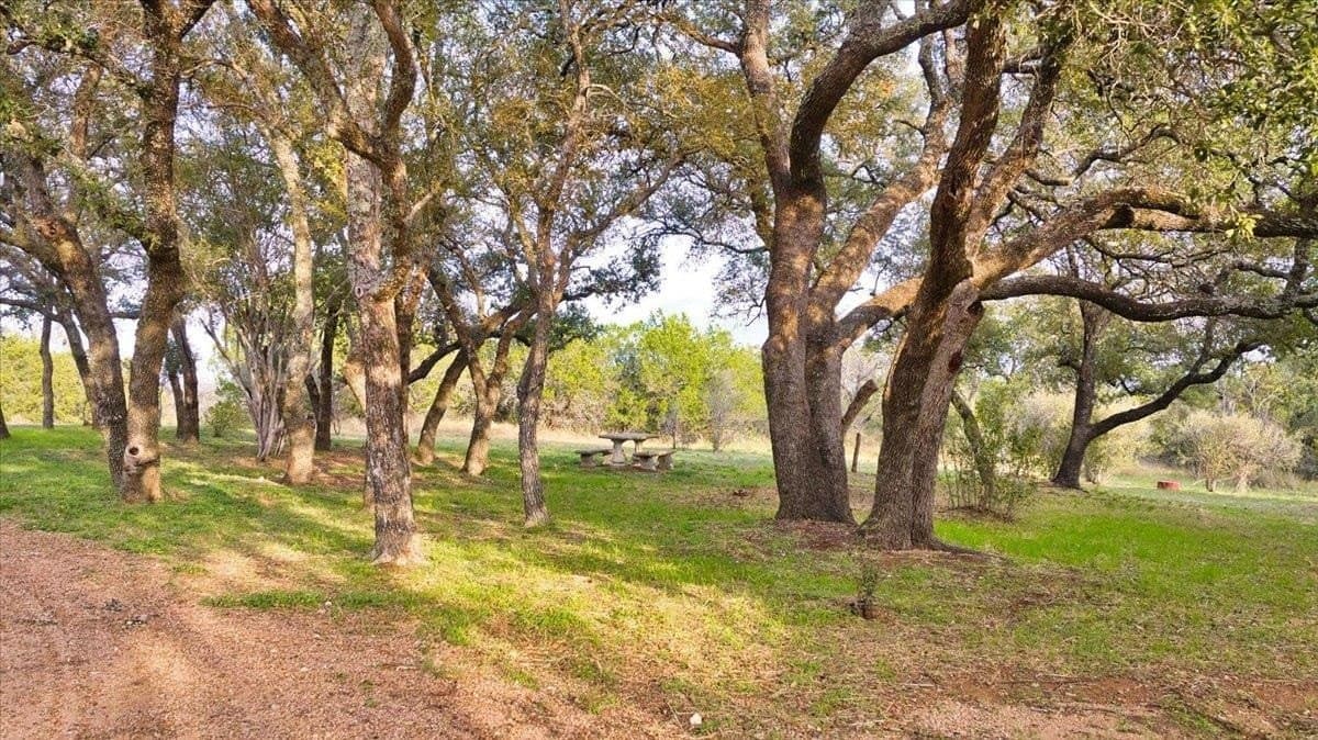 10 acres in Burnet County - photo 25