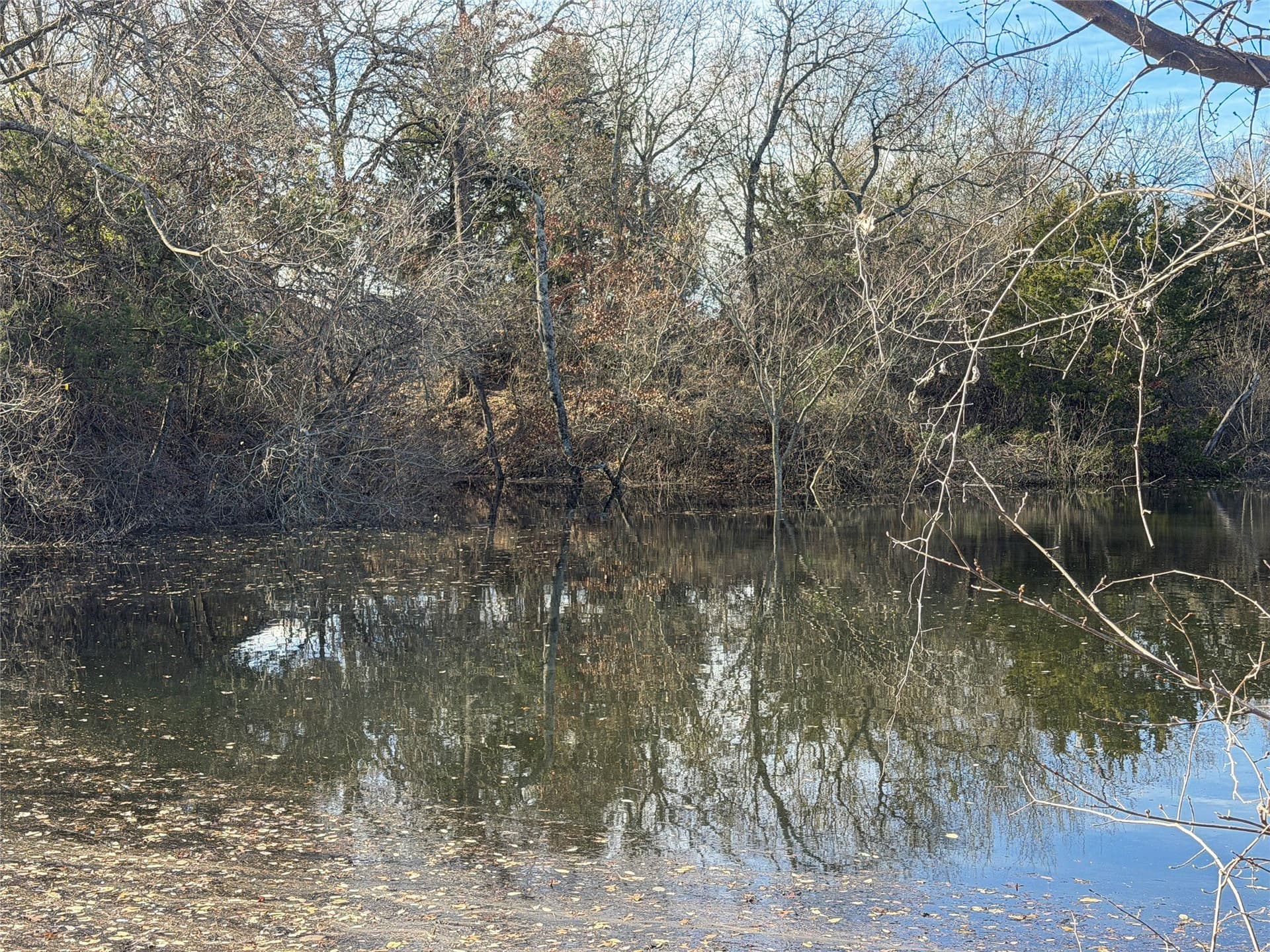 1.26 acres in Parker County - photo 6