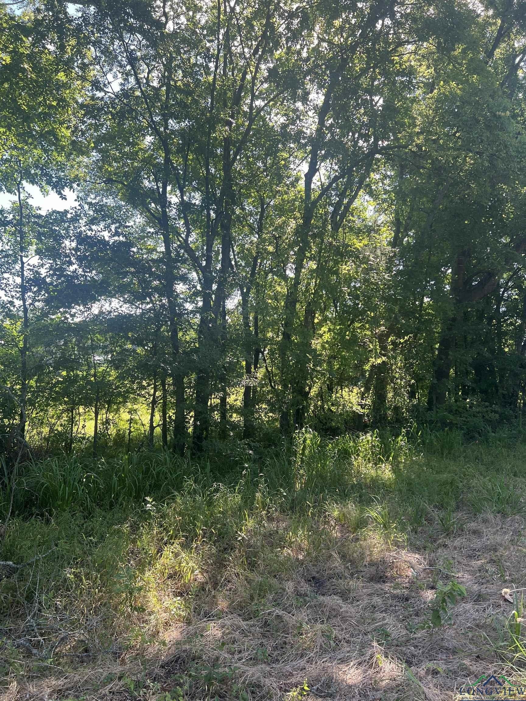 16.5 acres in Titus County gallery image 2