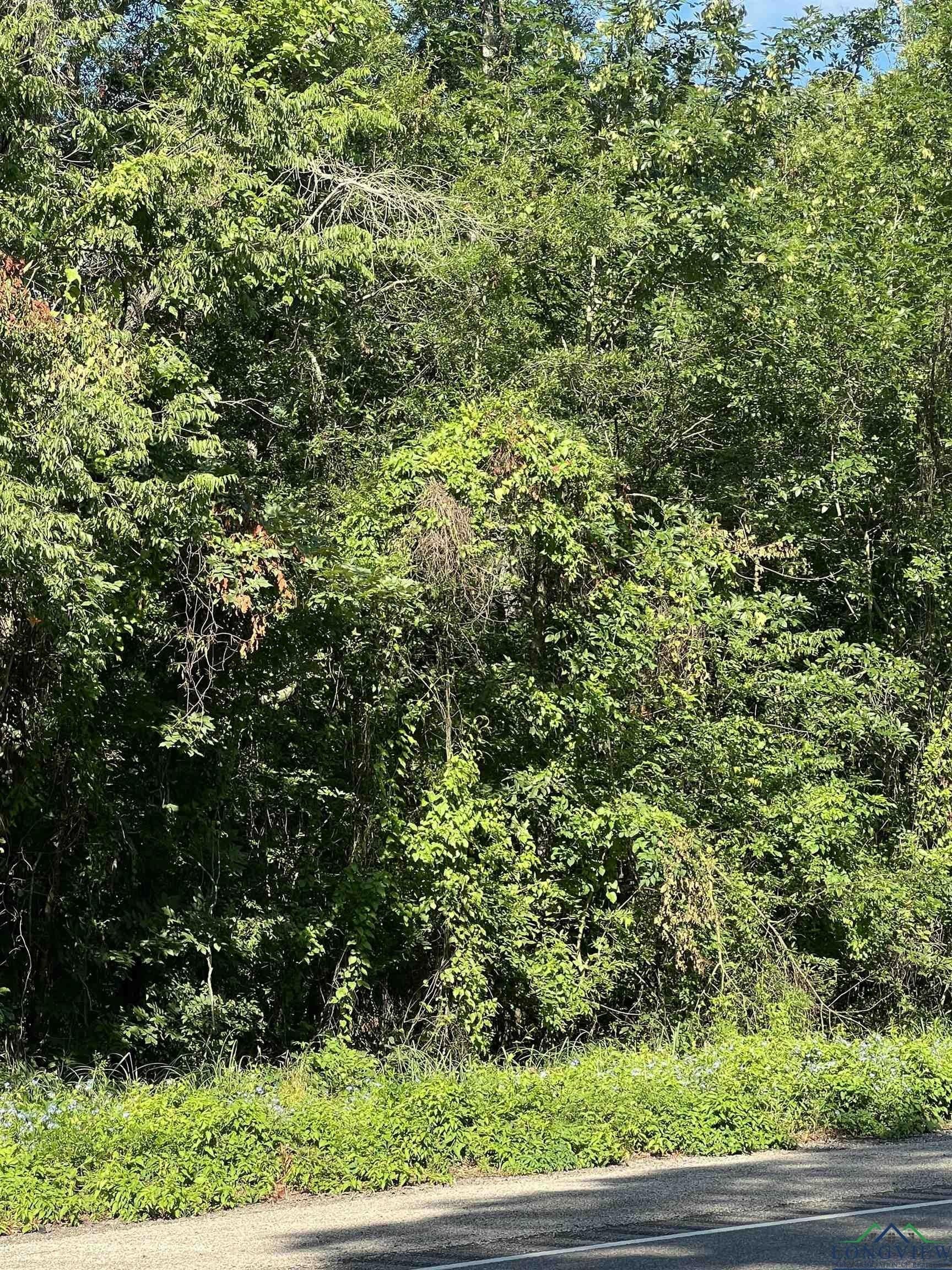 16.5 acres in Titus County