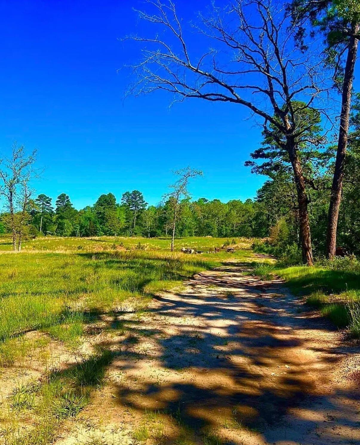 3.84 acres in Wood County - photo 2