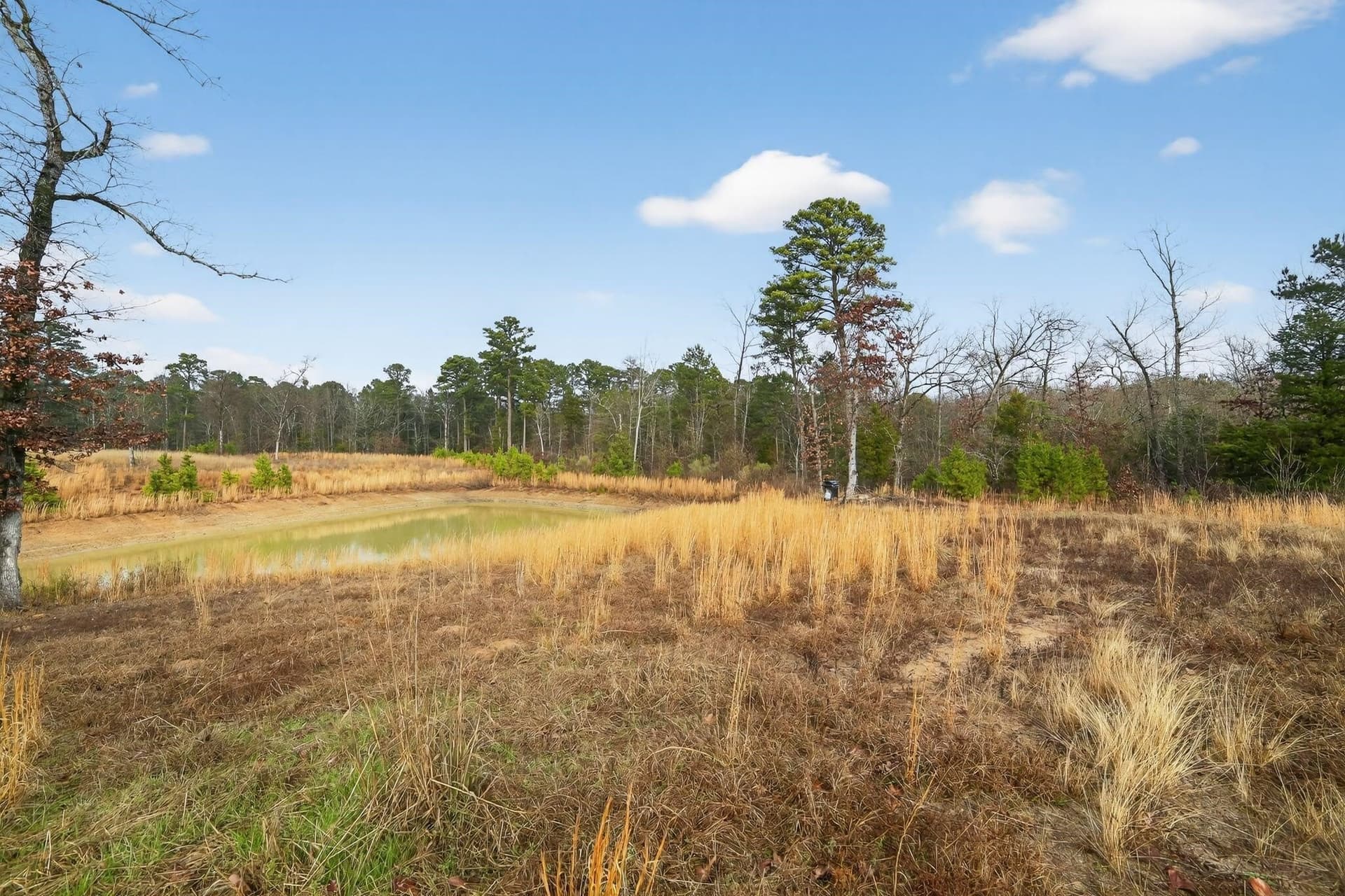 3.84 acres in Wood County - photo 26