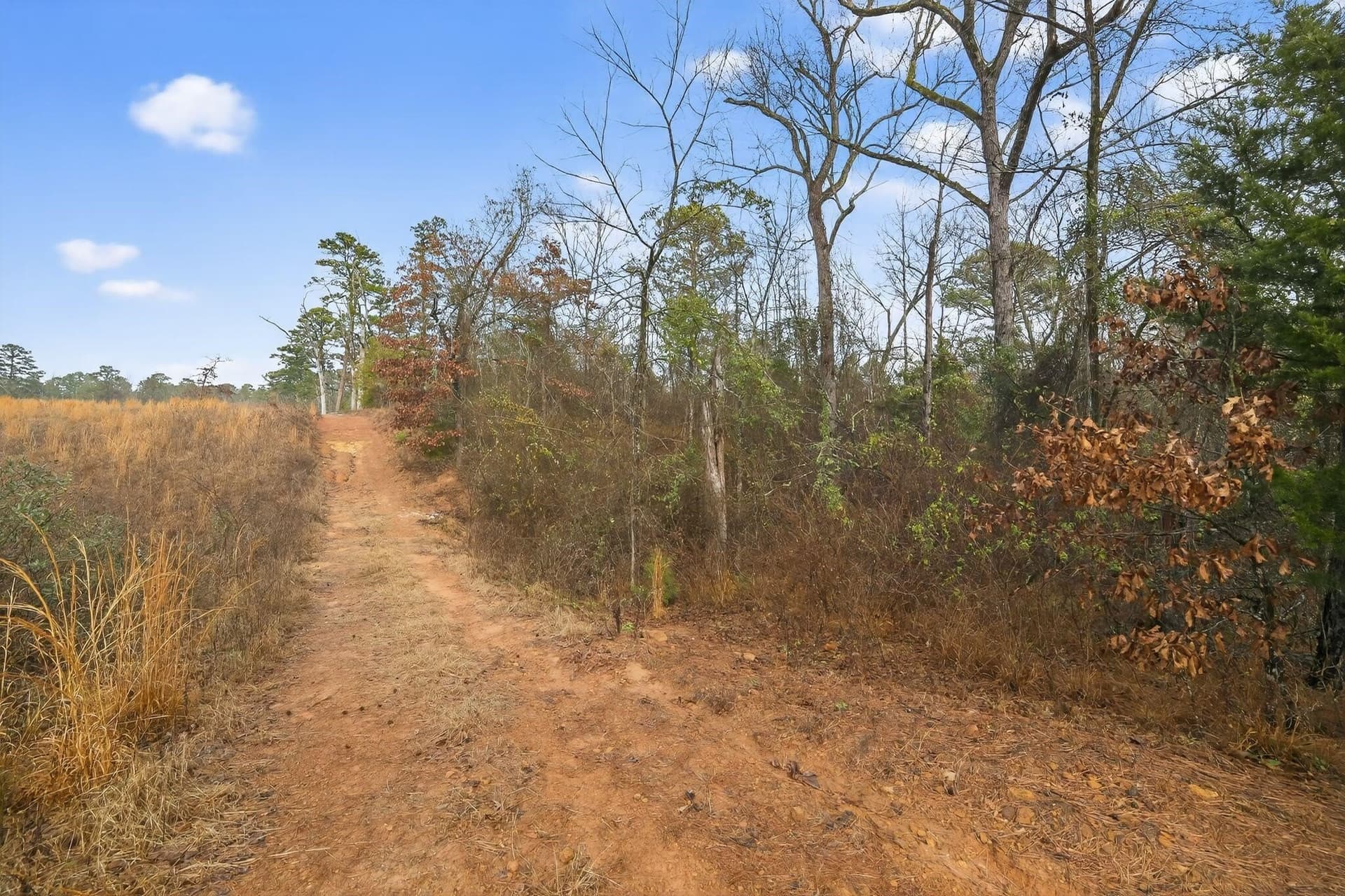 3.84 acres in Wood County - photo 15
