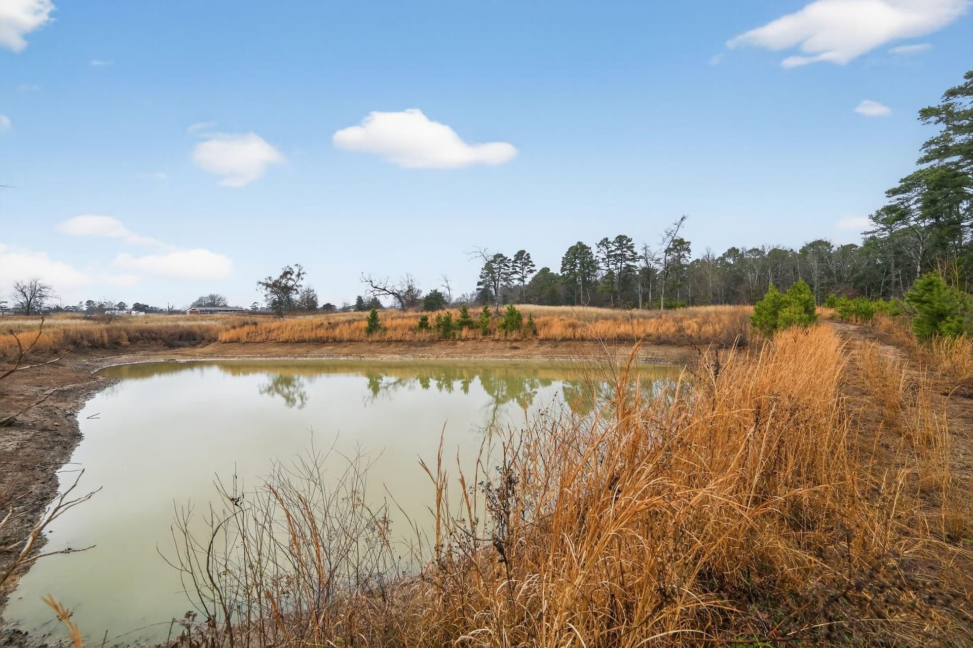 3.84 acres in Wood County - photo 27